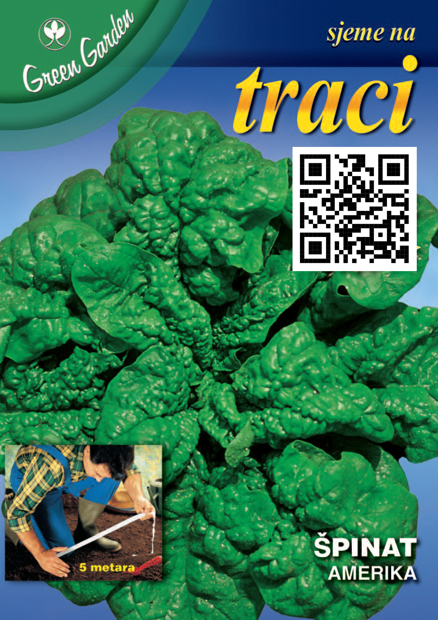 SJEME NA TRACI - ŠPINAT - AMERIKA