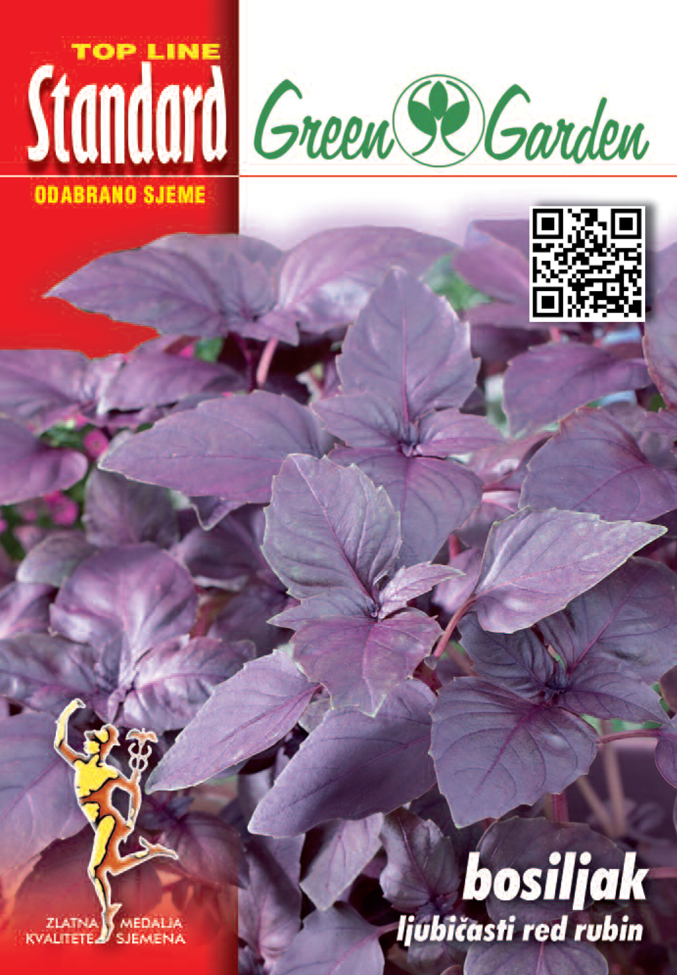 BOSILJAK LJUBIČASTI - RED RUBIN STANDARD