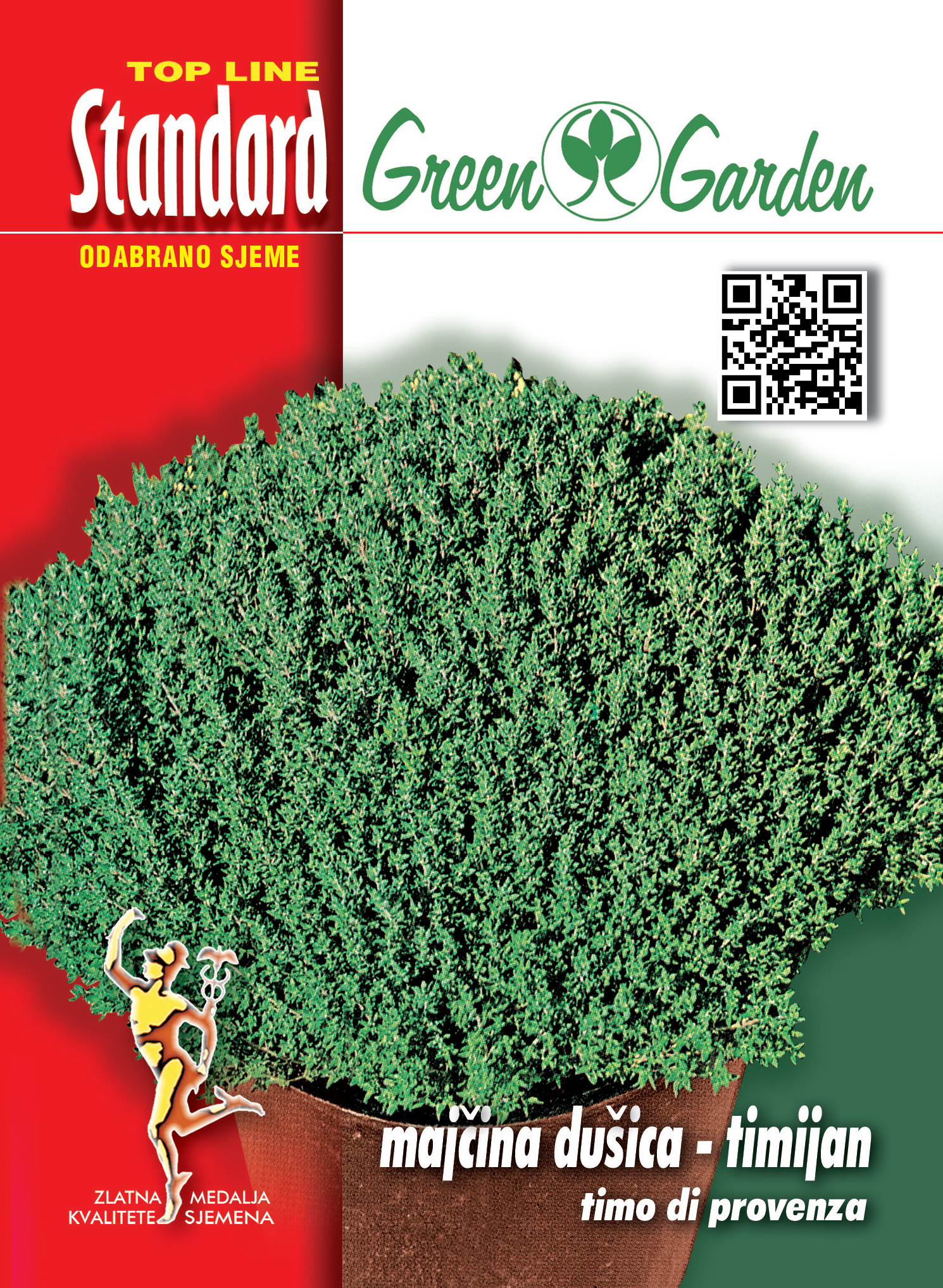 MAJČINA DUŠICA TIMIJAN - STANDARD