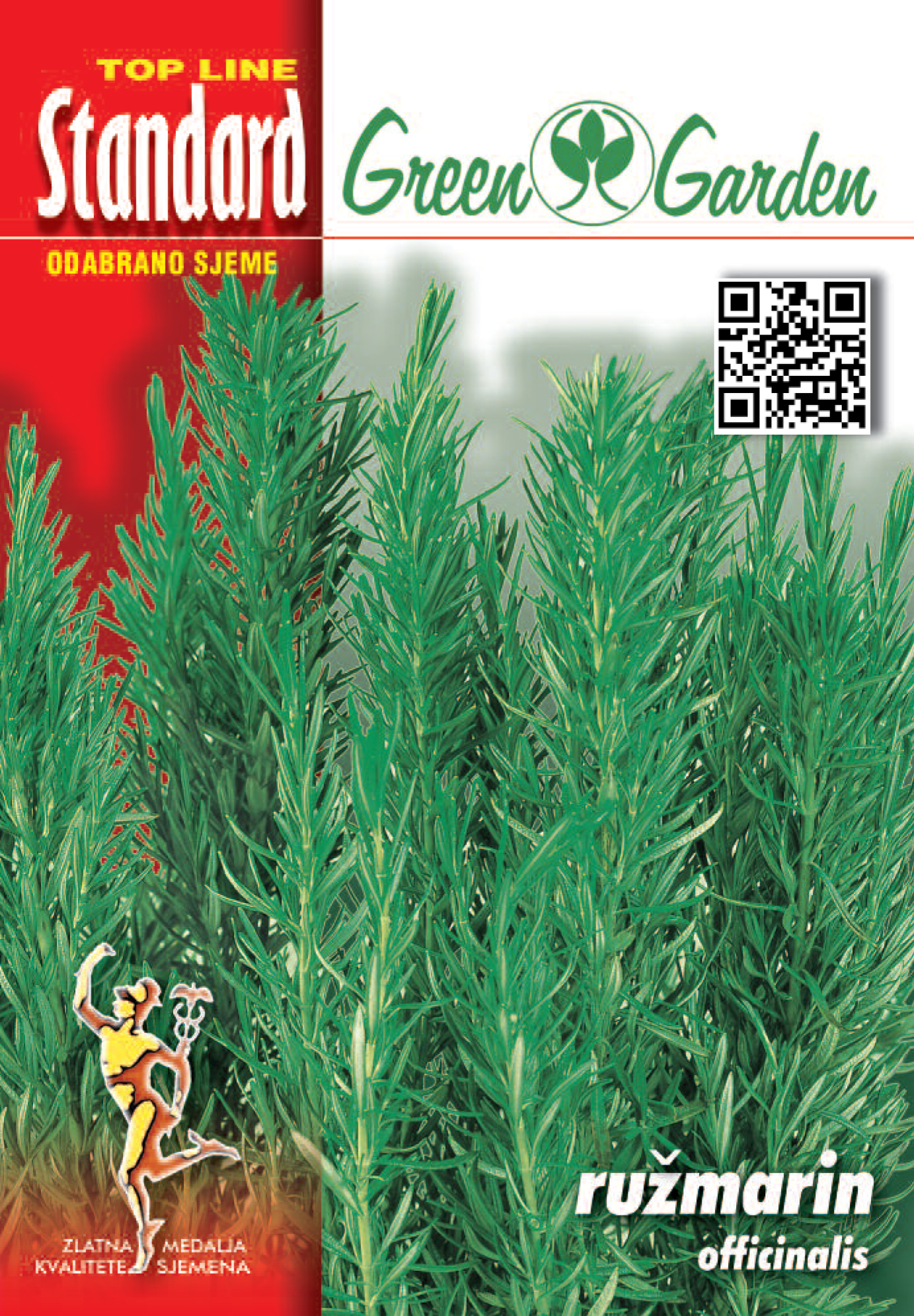 RUŽMARIN - STANDARD