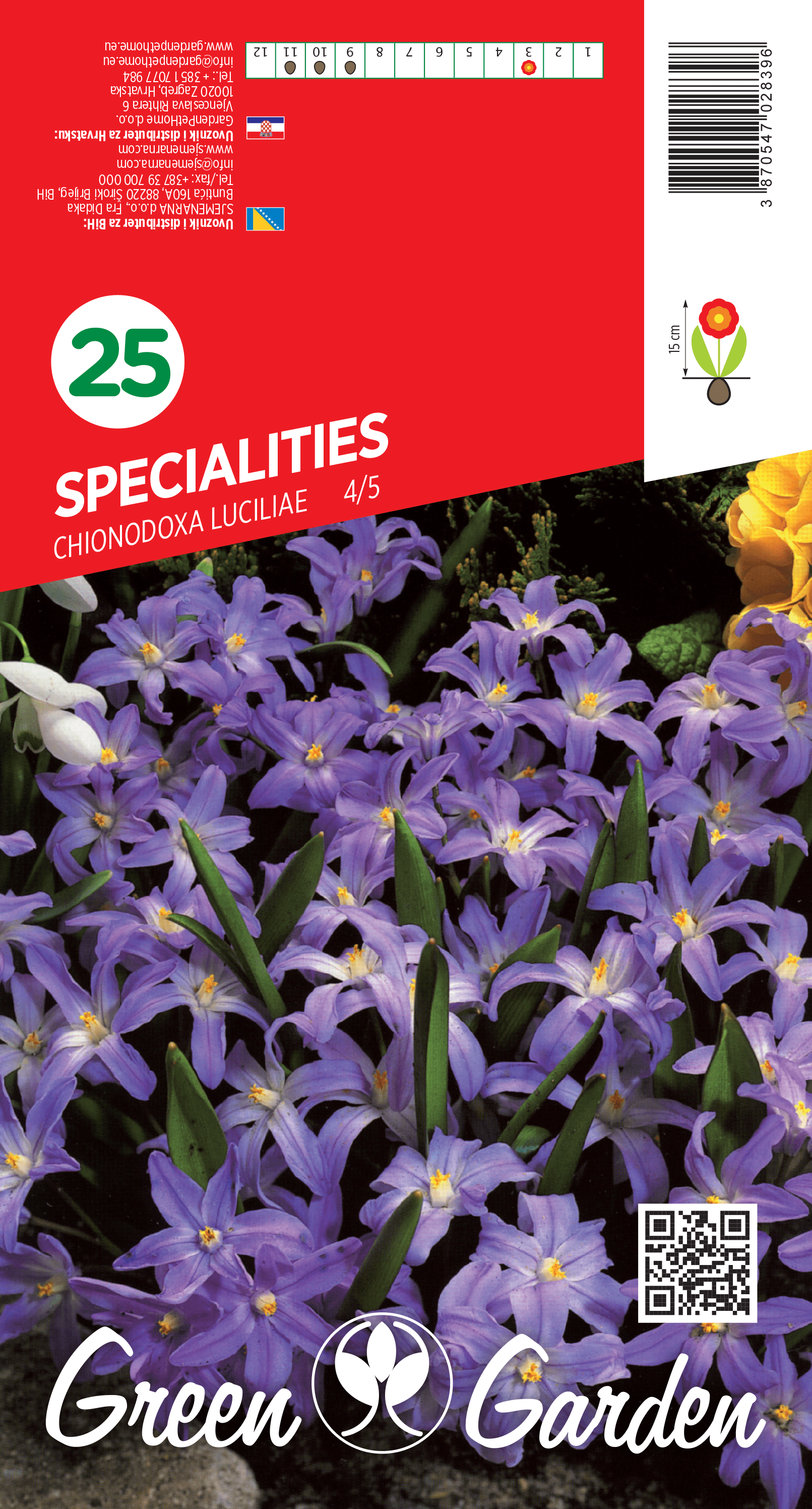 SPECIALITIES CHIONODOXA LUCILIAE 4/5 BR.LUK.25