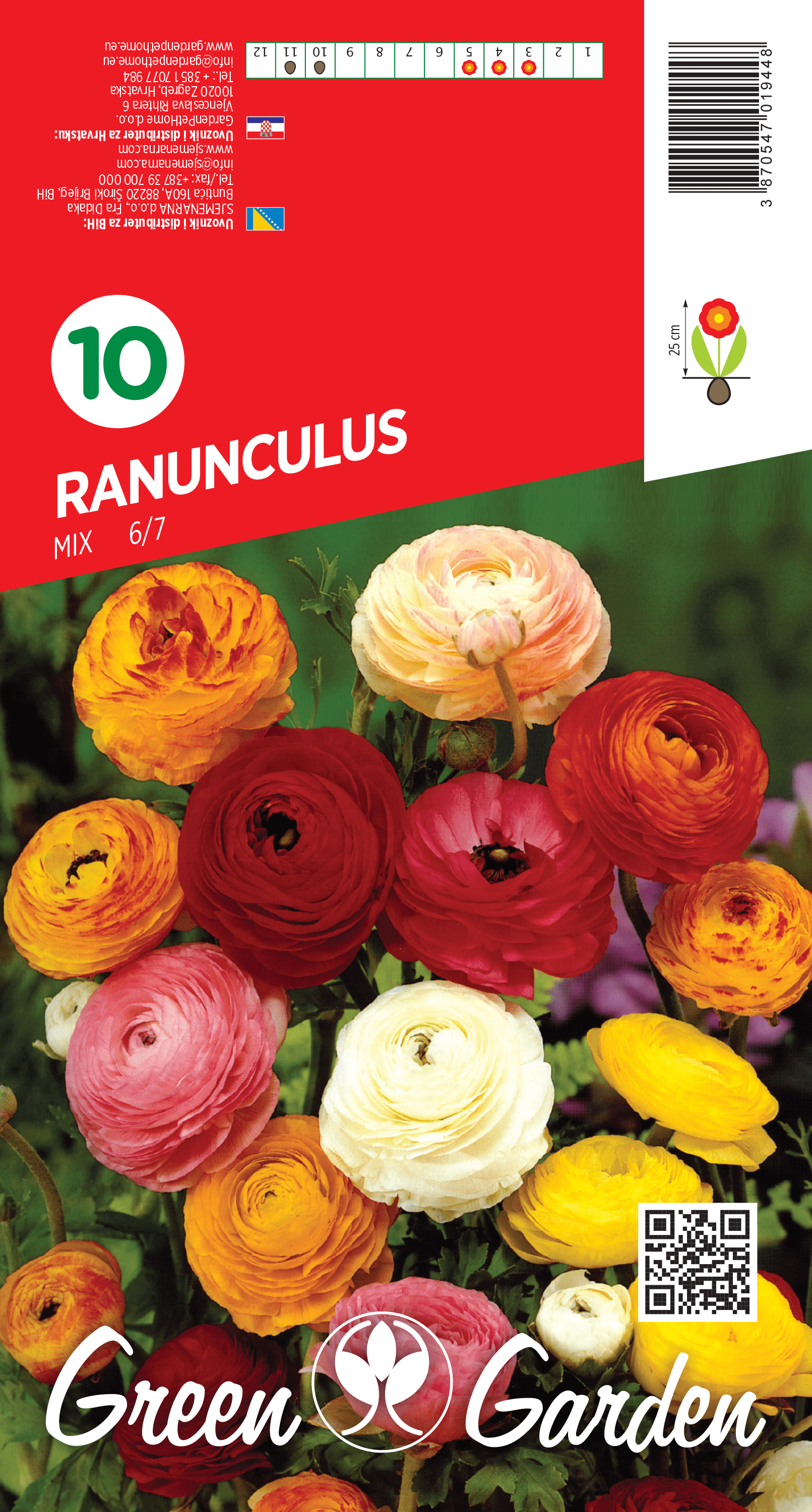 RANUNCULUS - MIX 6/7 BR.LUK.10
