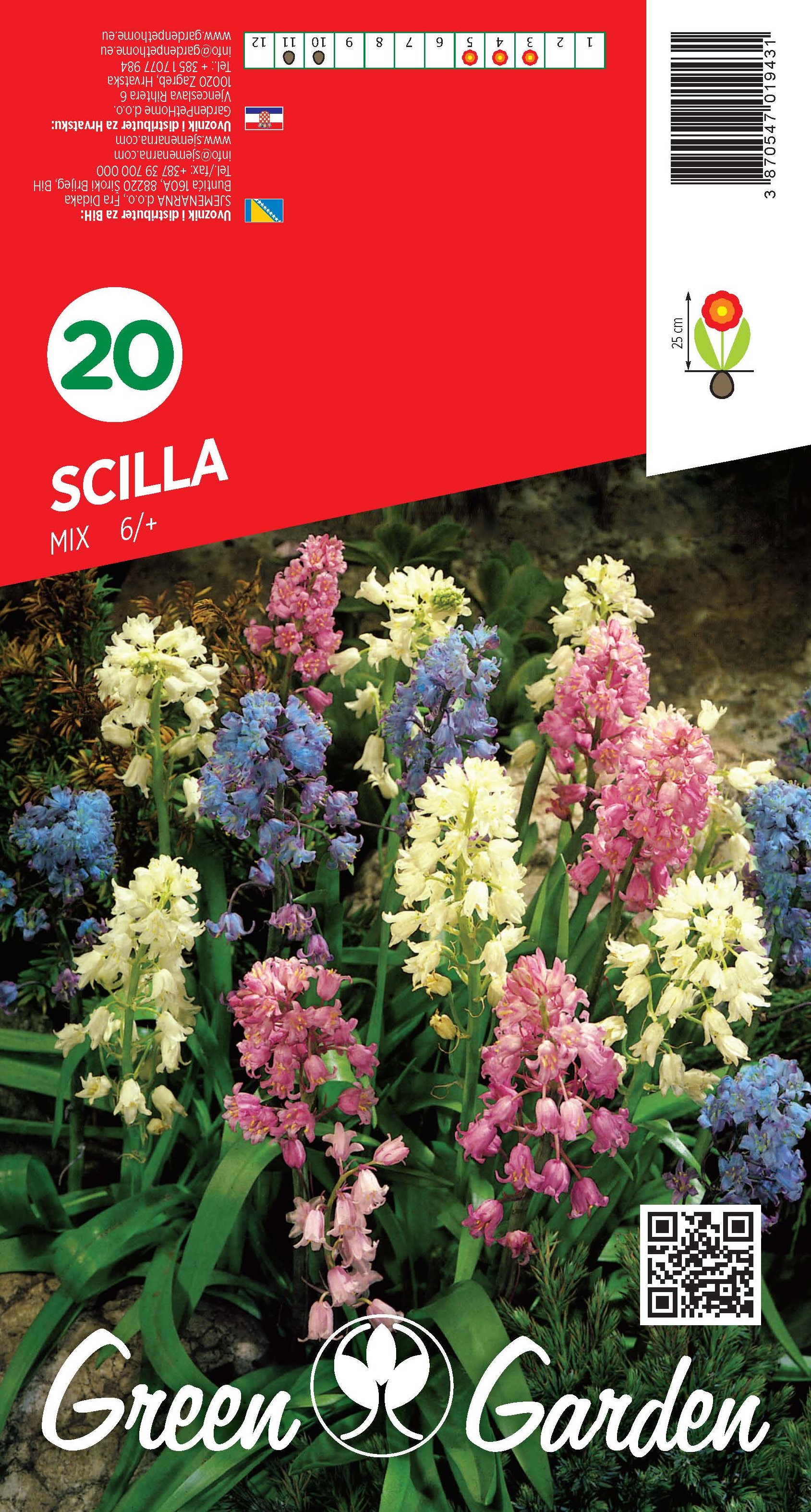 SCILLA - MIX 6/+ BR.LUK.20