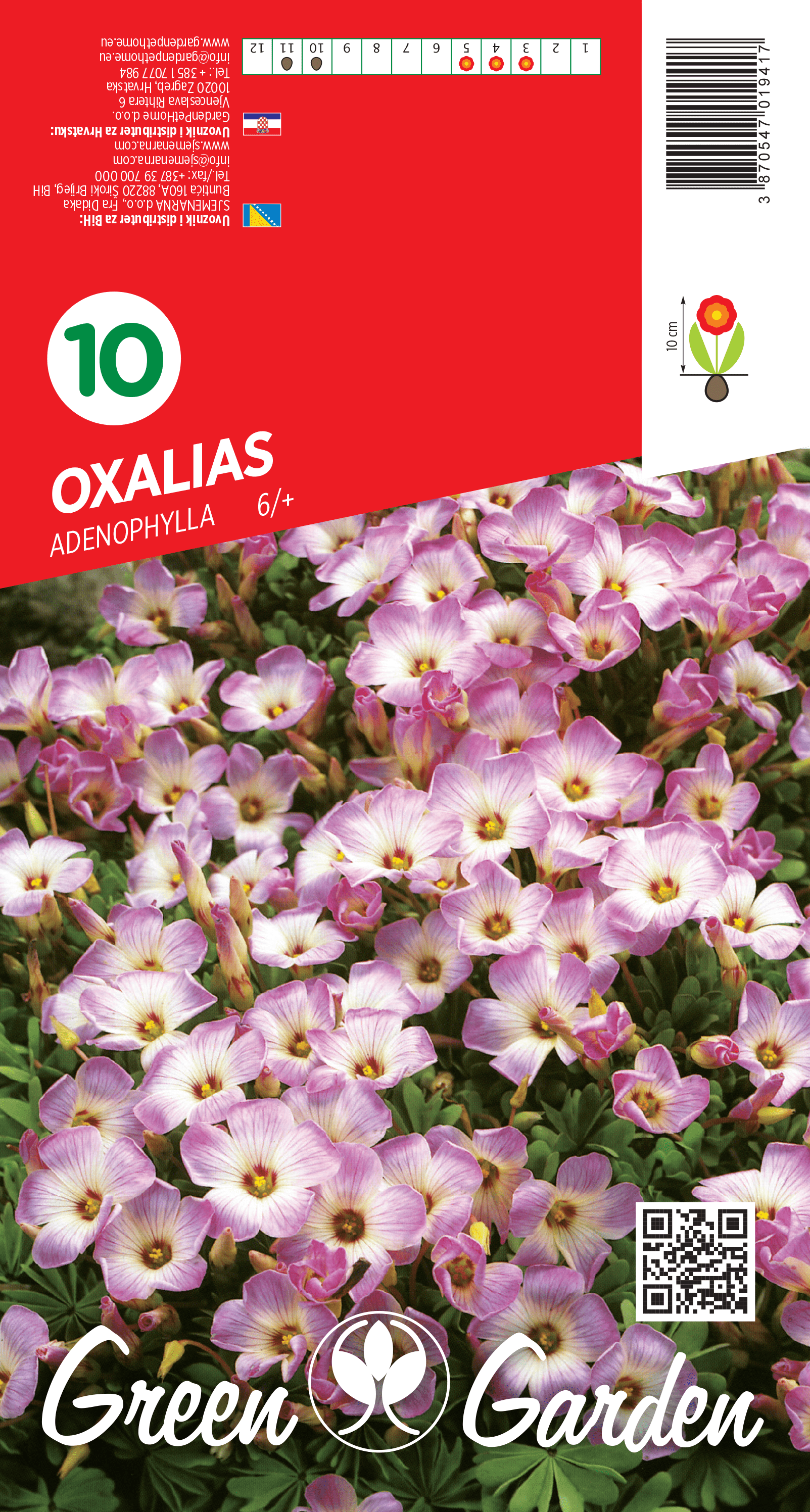 OXALIAS - ADENOPHYLLA 6/+ BR.LUK.10