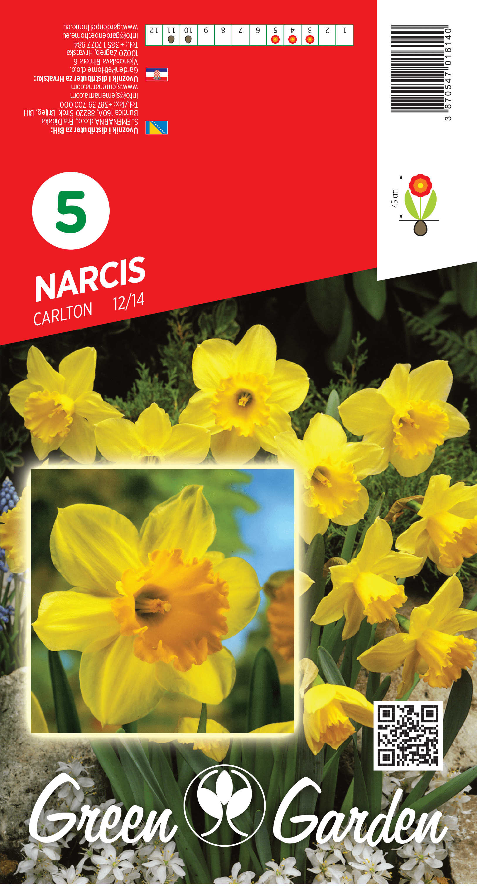 NARCIS - CARLTON 12/14 BR.LUK.5