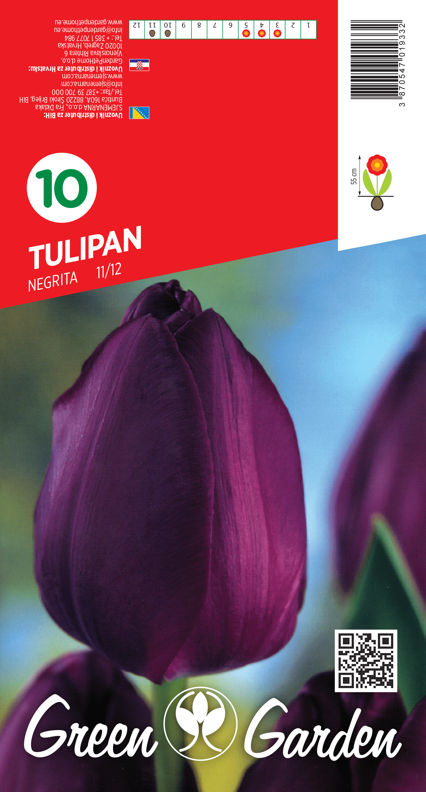 TULIPAN - NEGRITA 11/12 BR.LUK.10