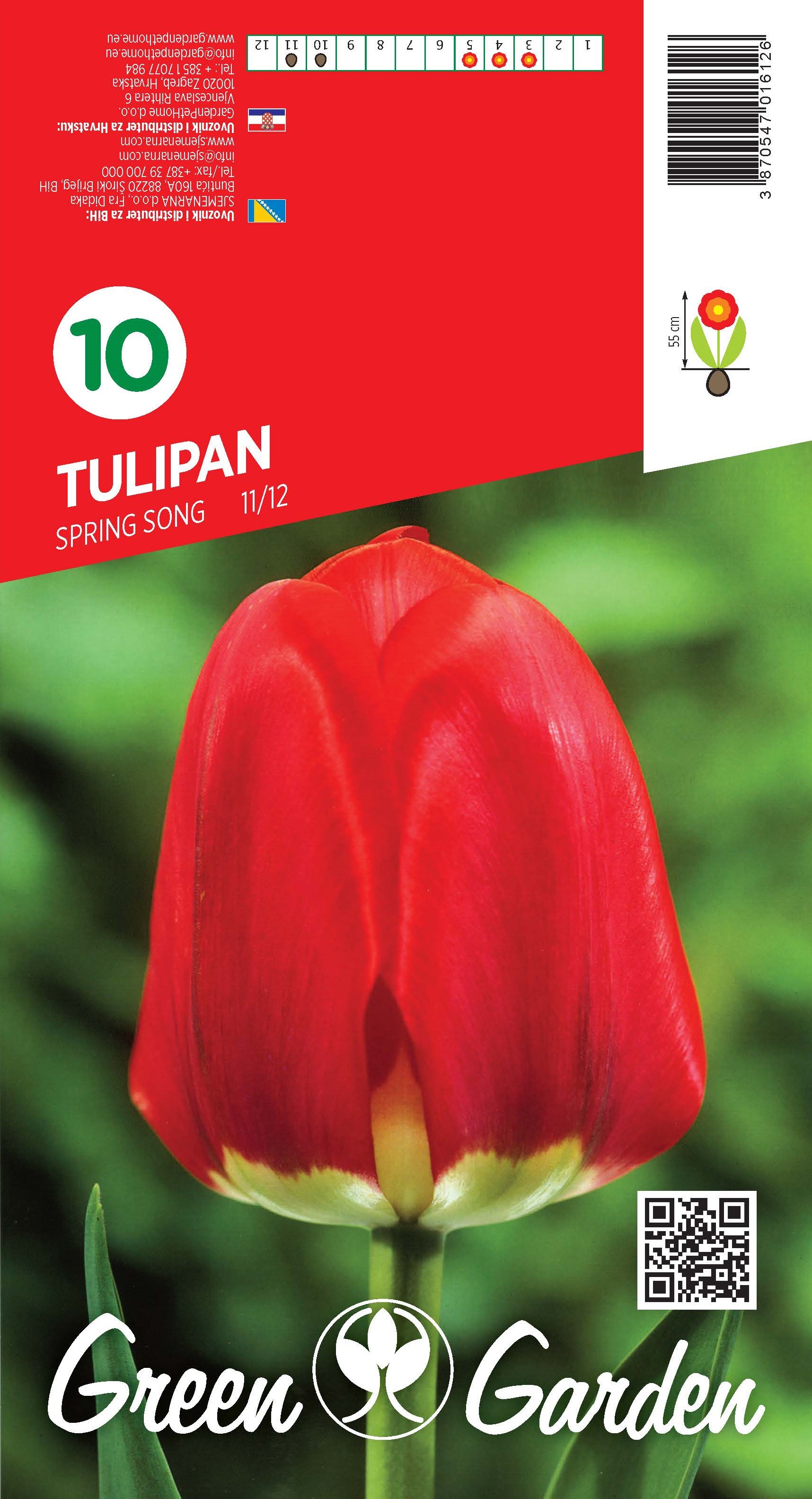 TULIPAN - SPRING SONG 11/12 BR.LUK.10