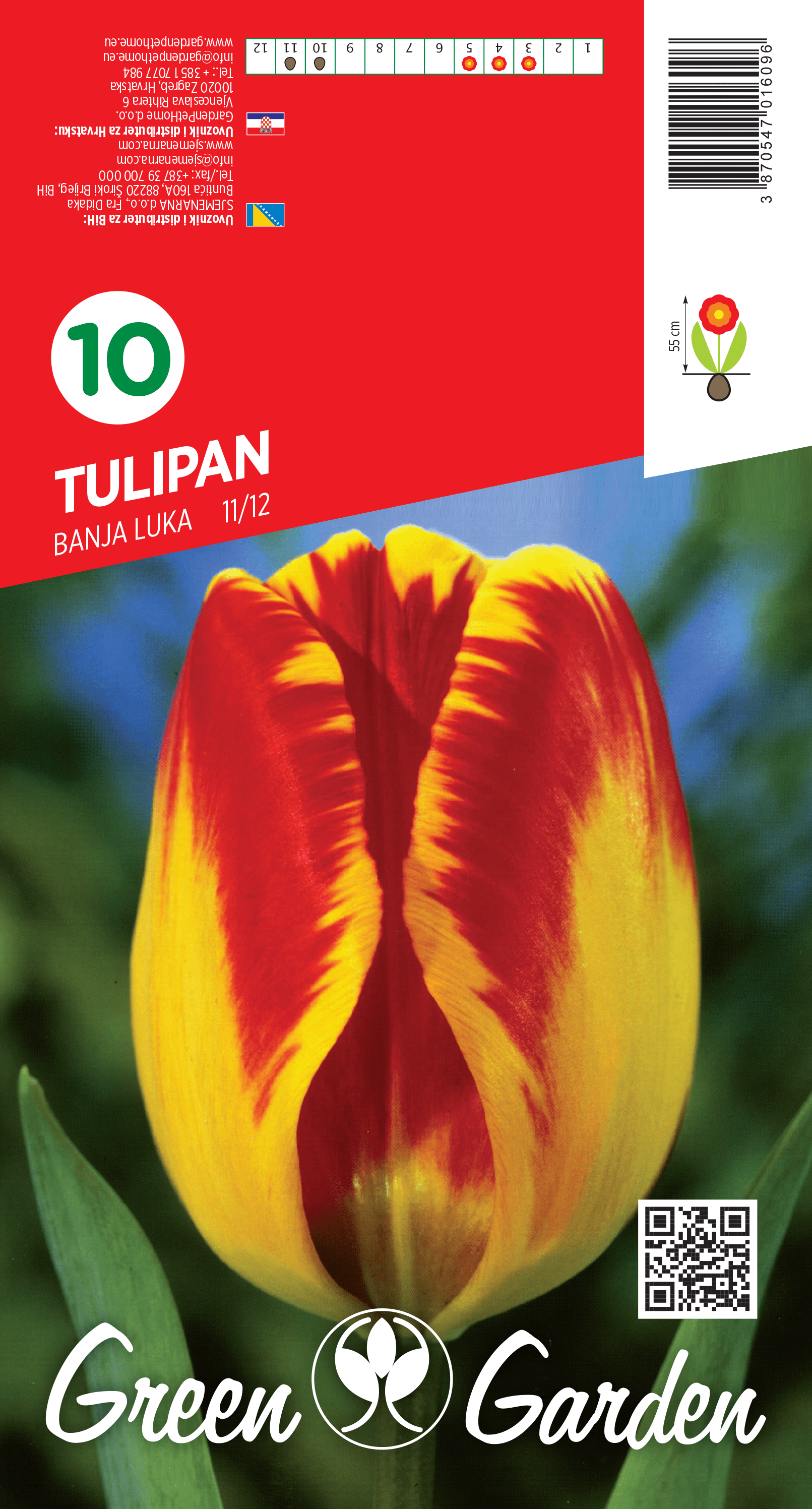 TULIPAN - BANJA LUKA 11/12 BR.LUK.10