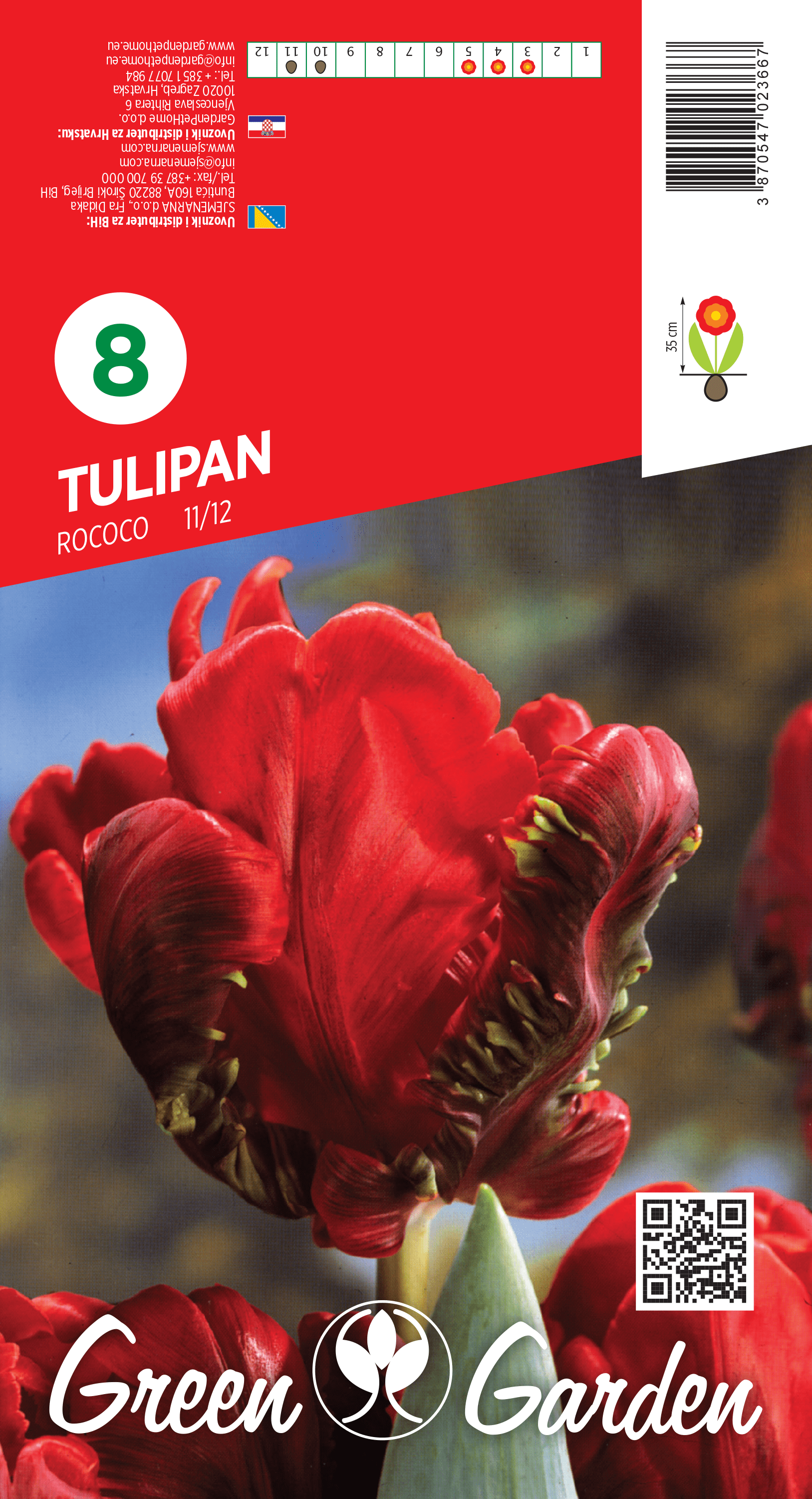 TULIPAN - ROCOCO 11/12 BR.LUK.8