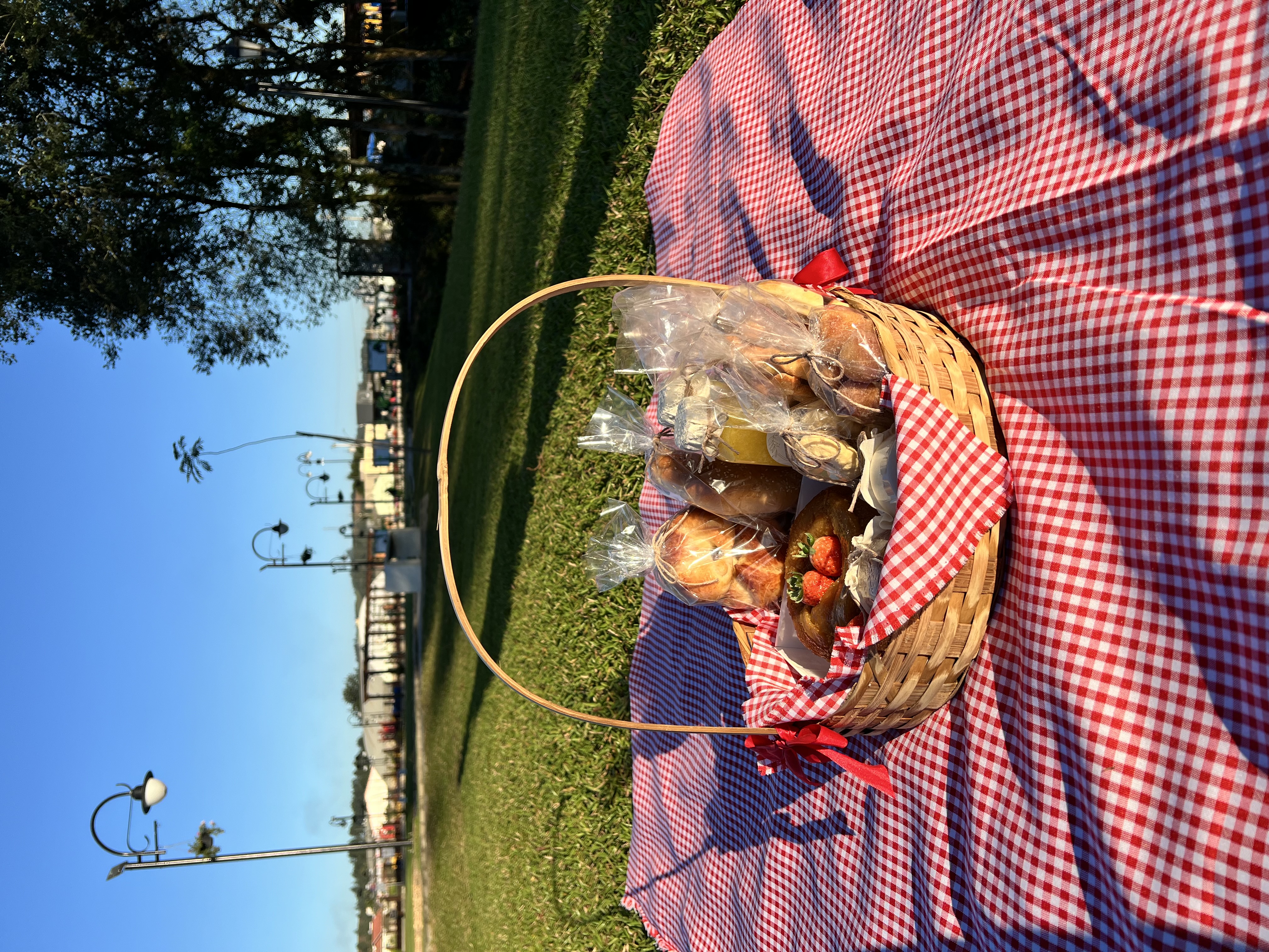 Cesta de Piquenique - cafe para 2 pessoas