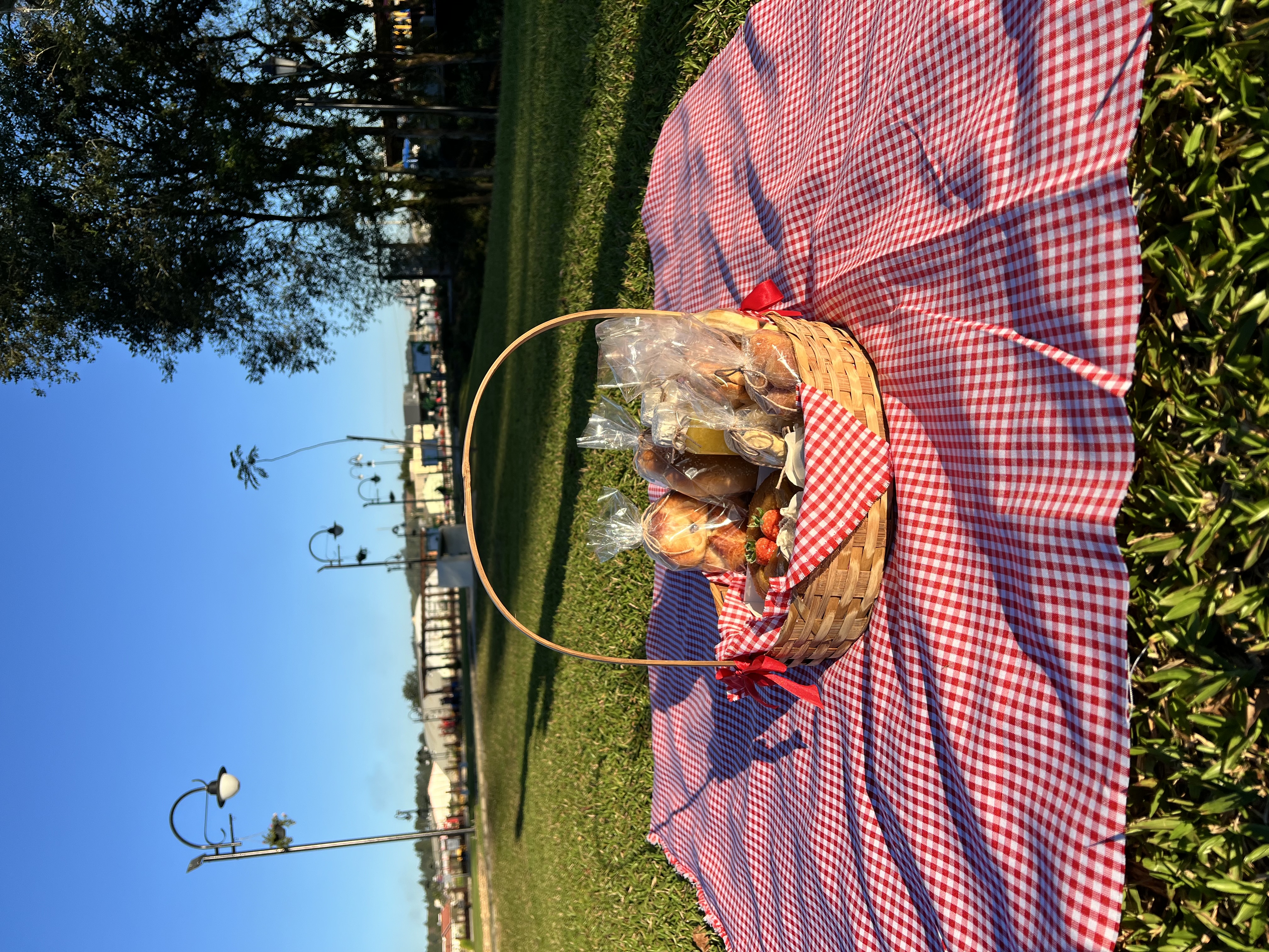 Cesta de Piquenique - cafe para 2 pessoas