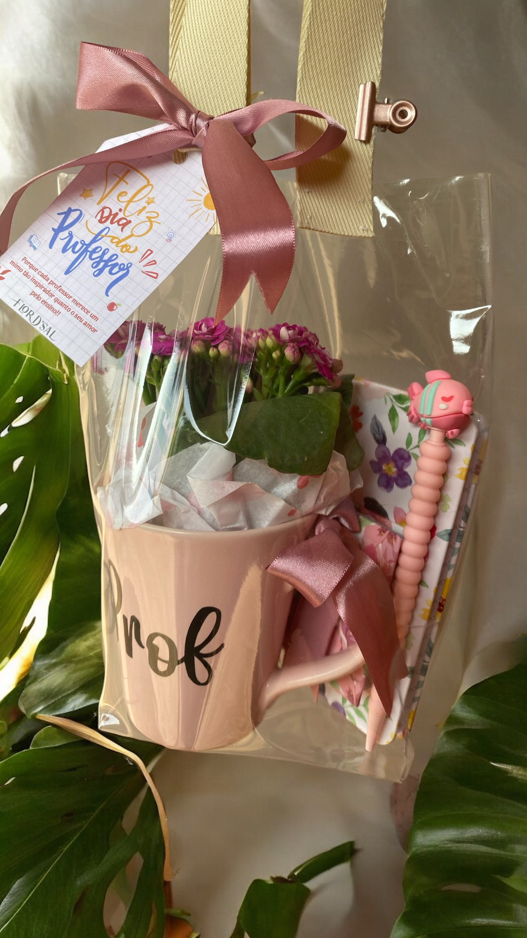 Kit Dia do Professor - kit anotações +Caneca