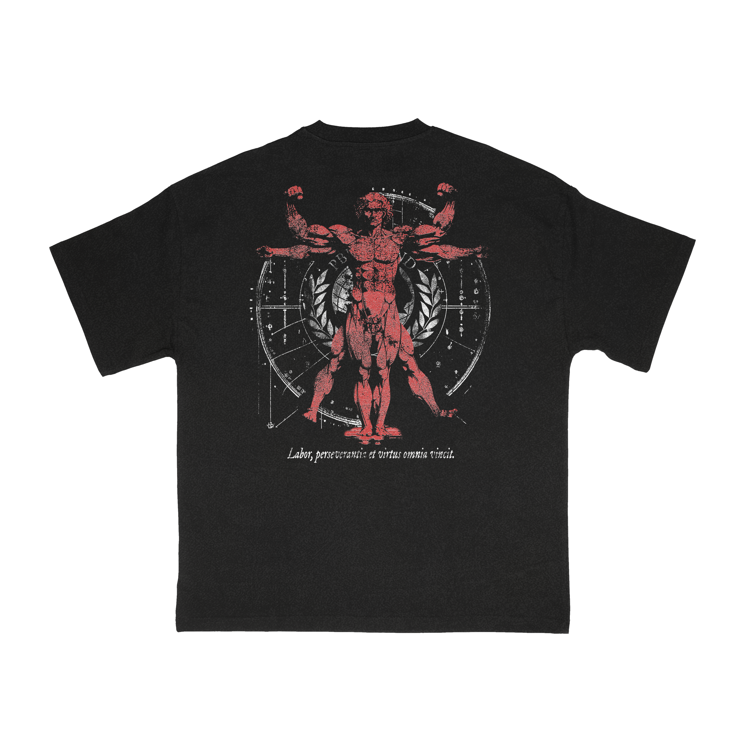 T-SHIRT OVERSIZE VITRUVE