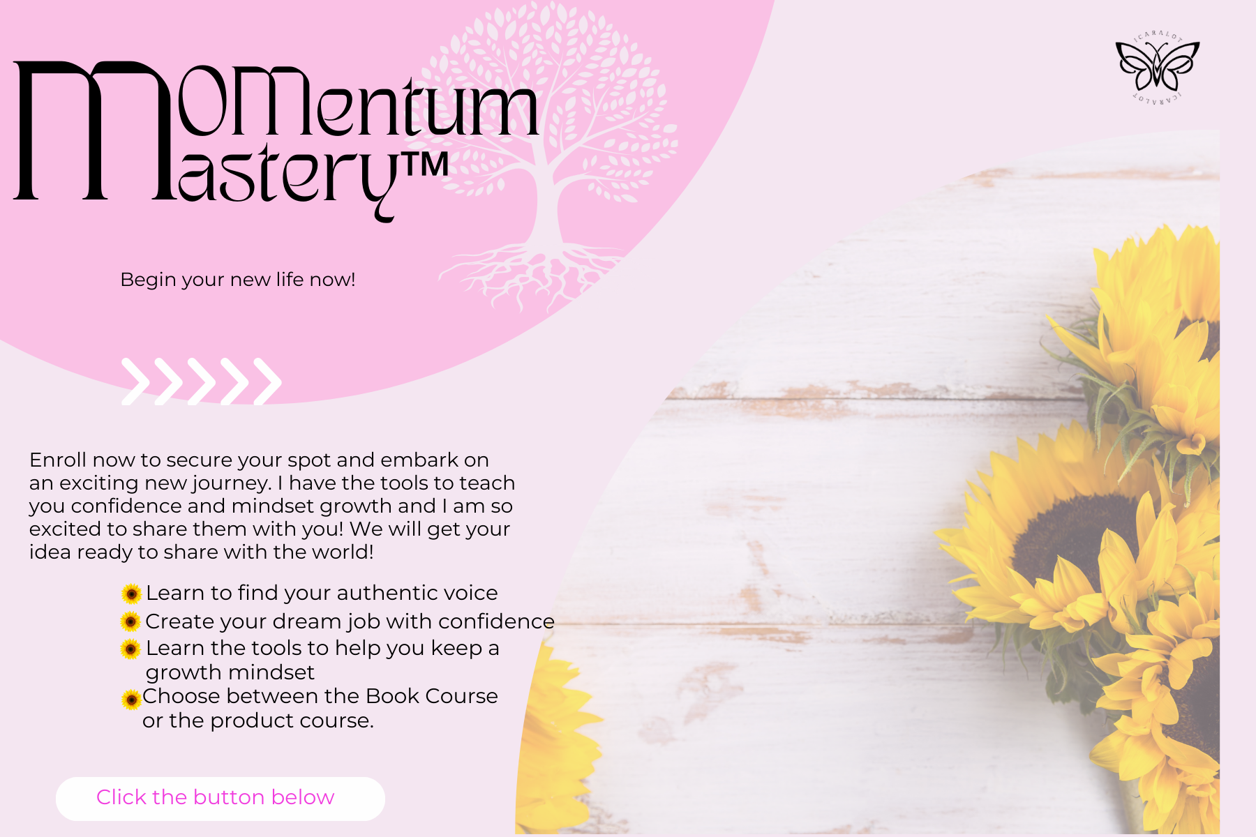 MOMemtum Mastery Product Course