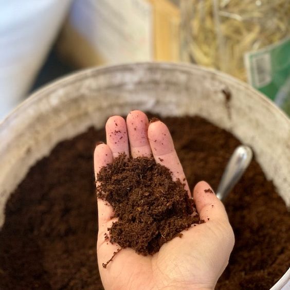 COCOPEAT POWDER