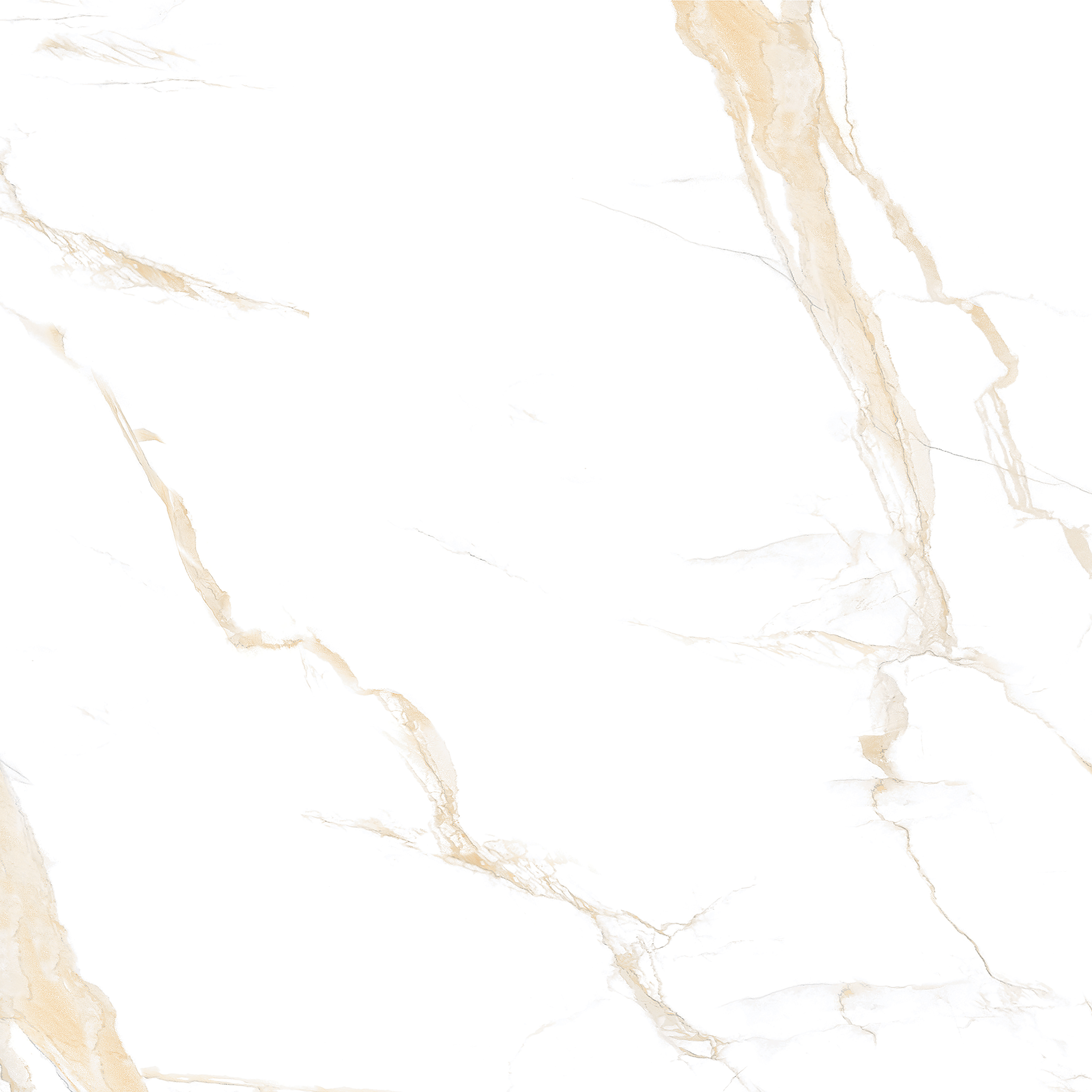 Calacatta Roma Gold