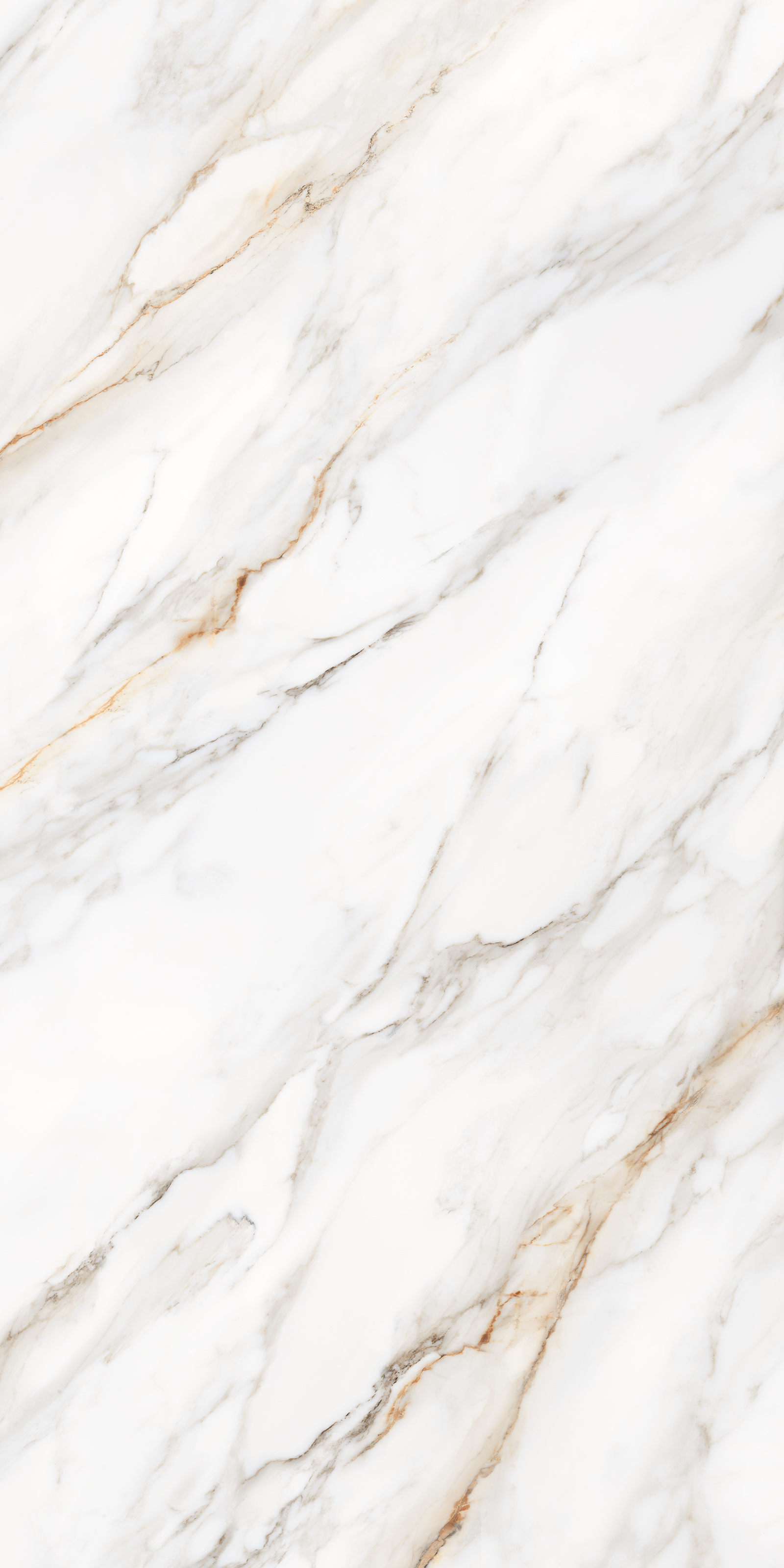 Carrara Grey 