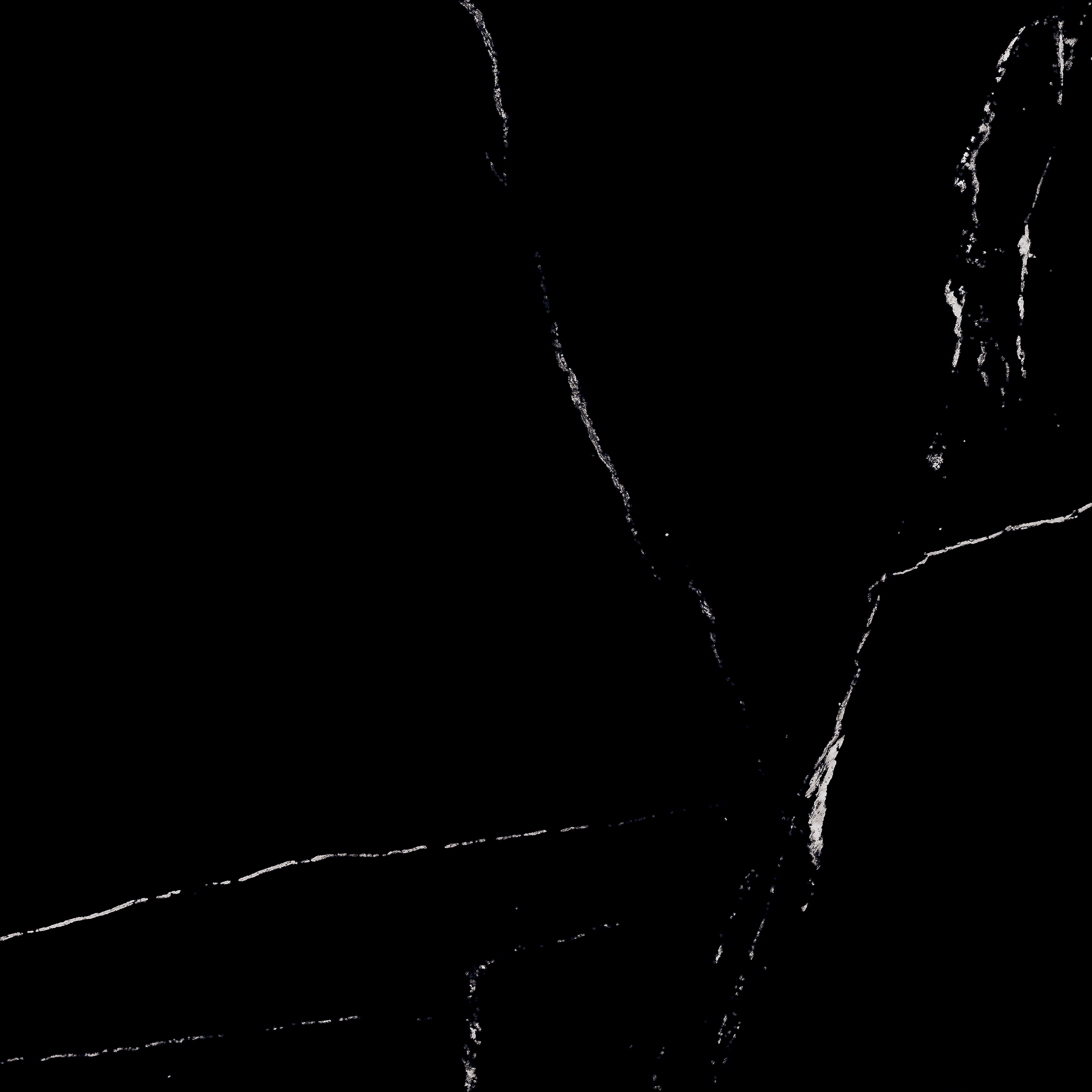Statuario Nero 