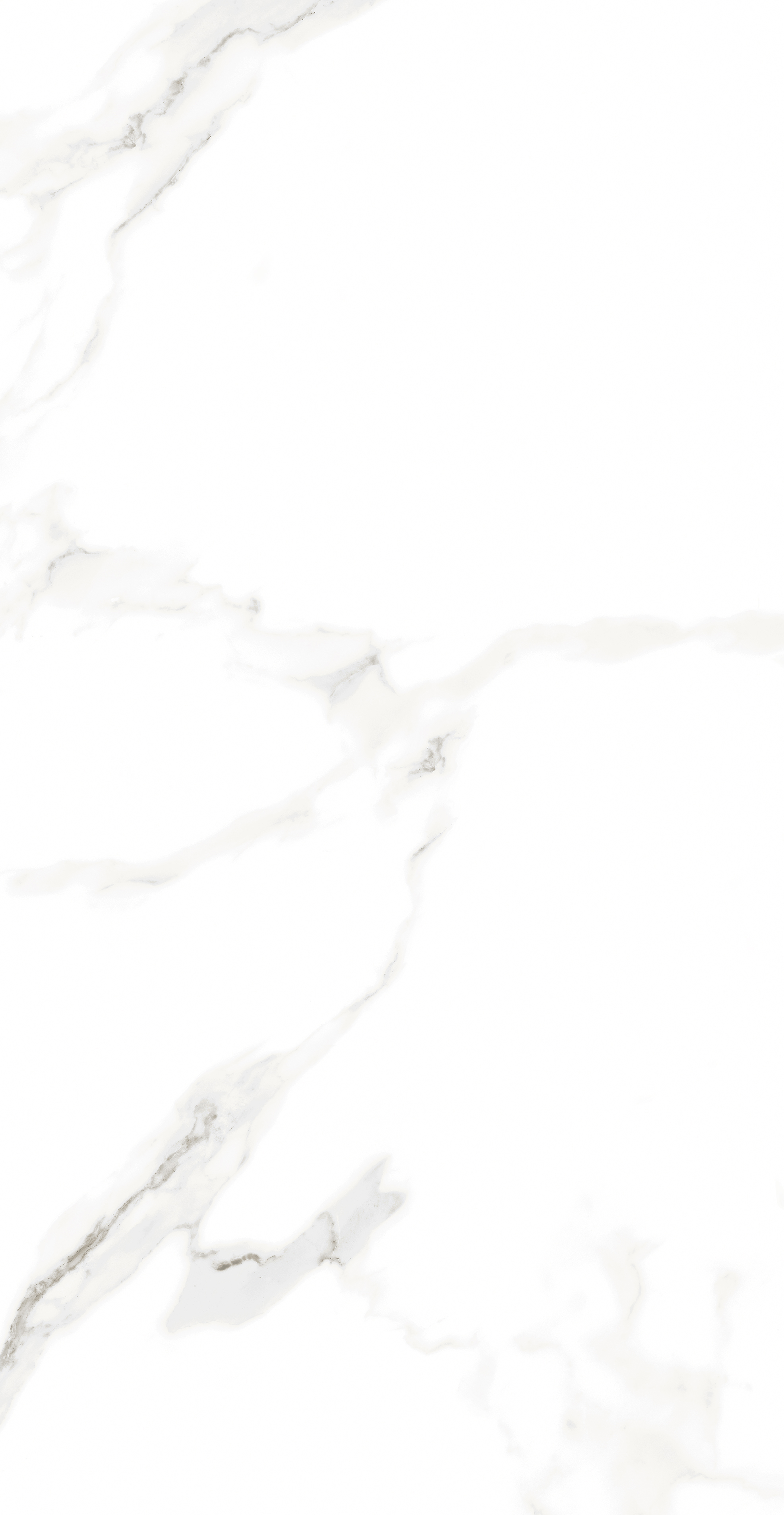 Statuario Silk 