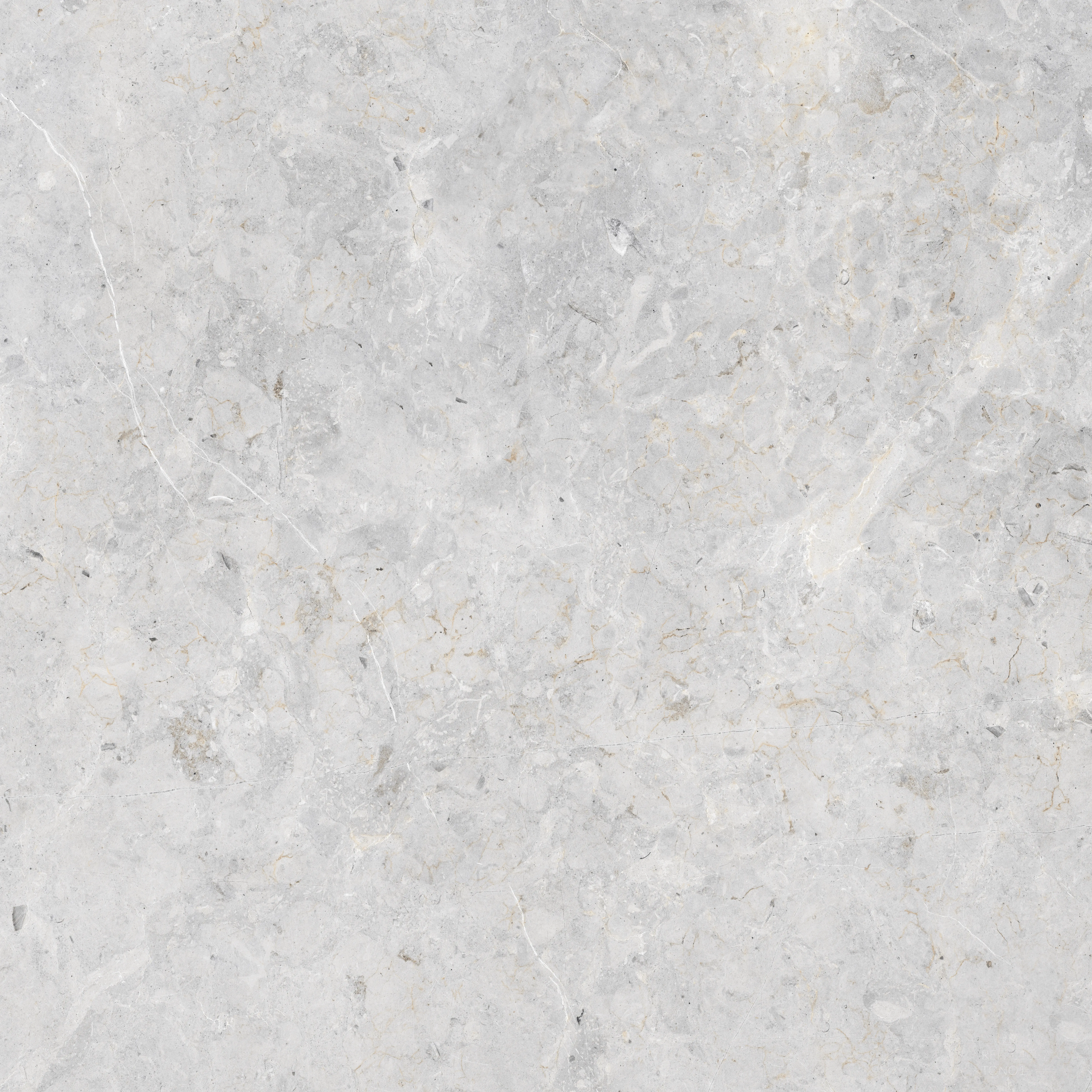 Dione Bianco 
