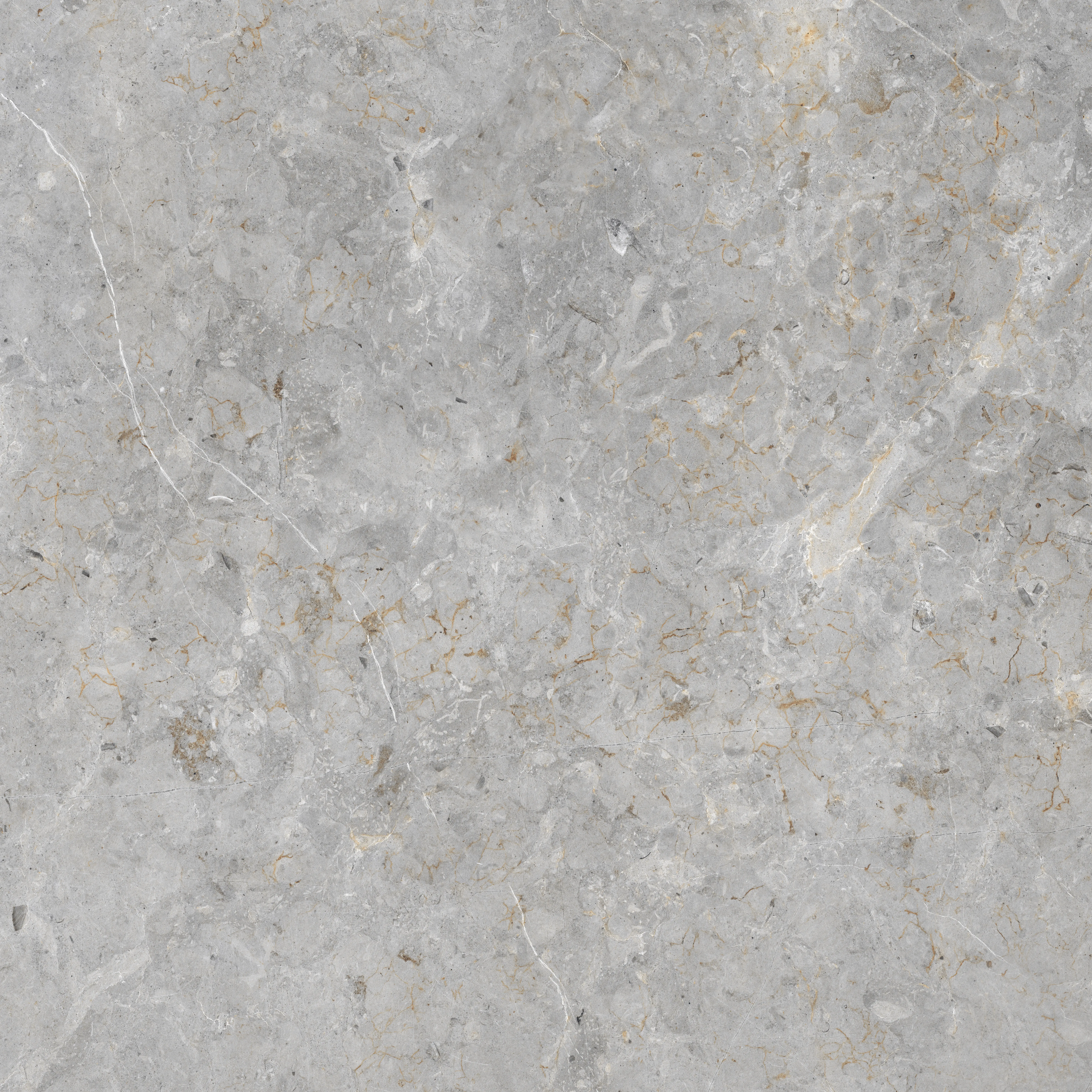 Dione Gris 
