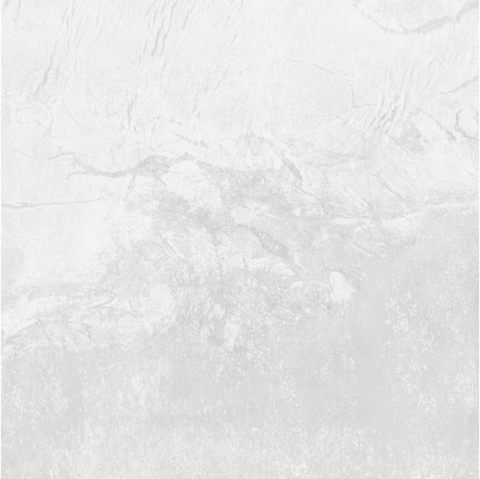 Geo White 