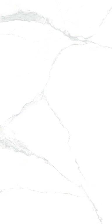 Neo Calacatta Silver 