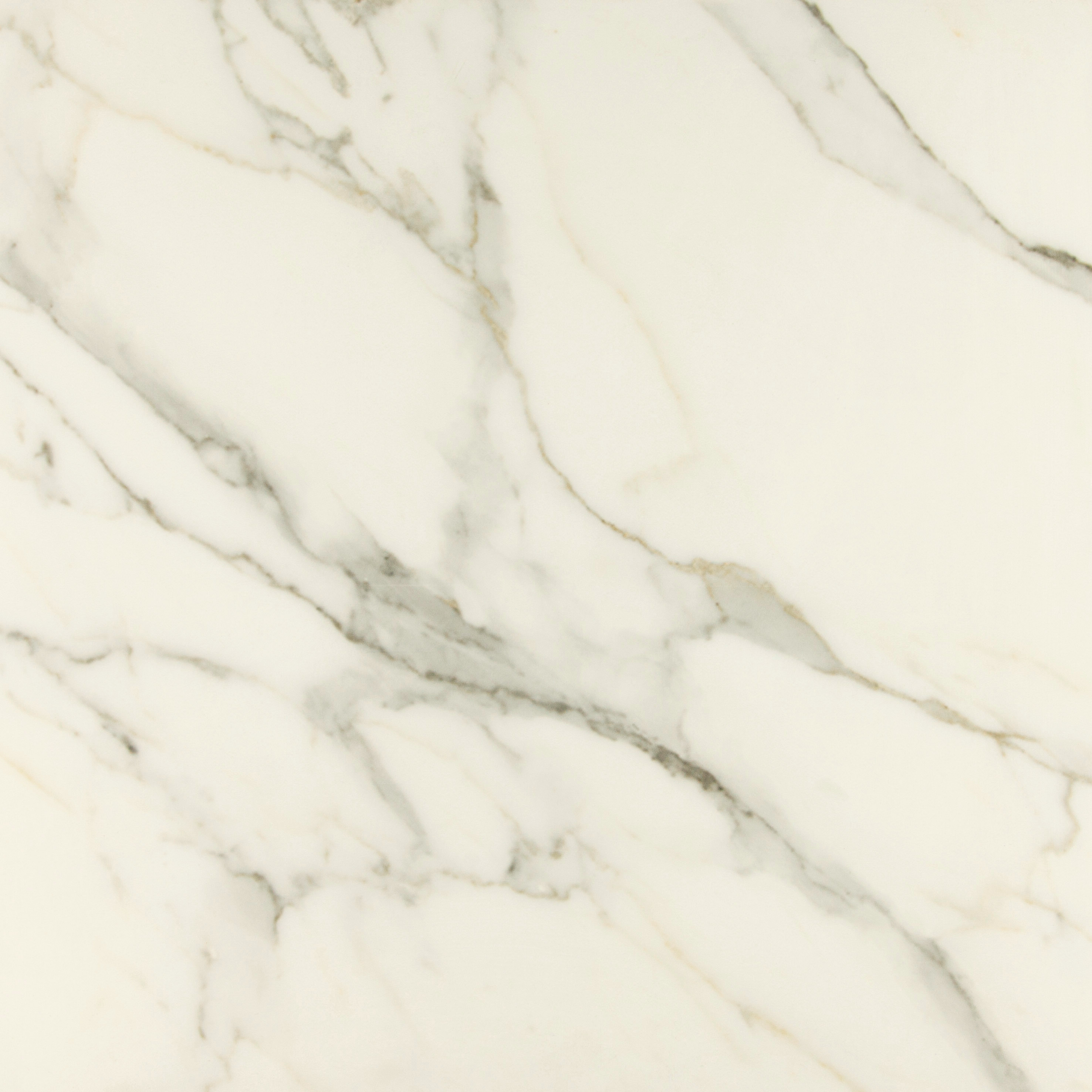 Premium Marble Calacatta 