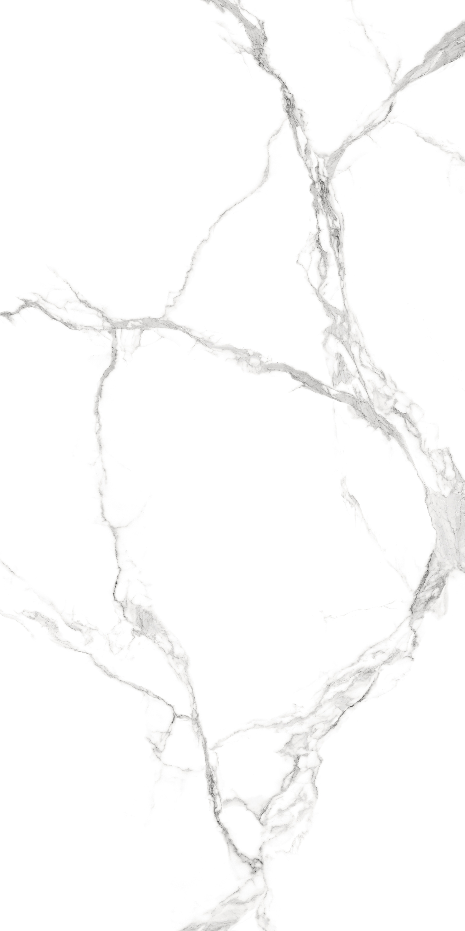 C- Stron Gris 