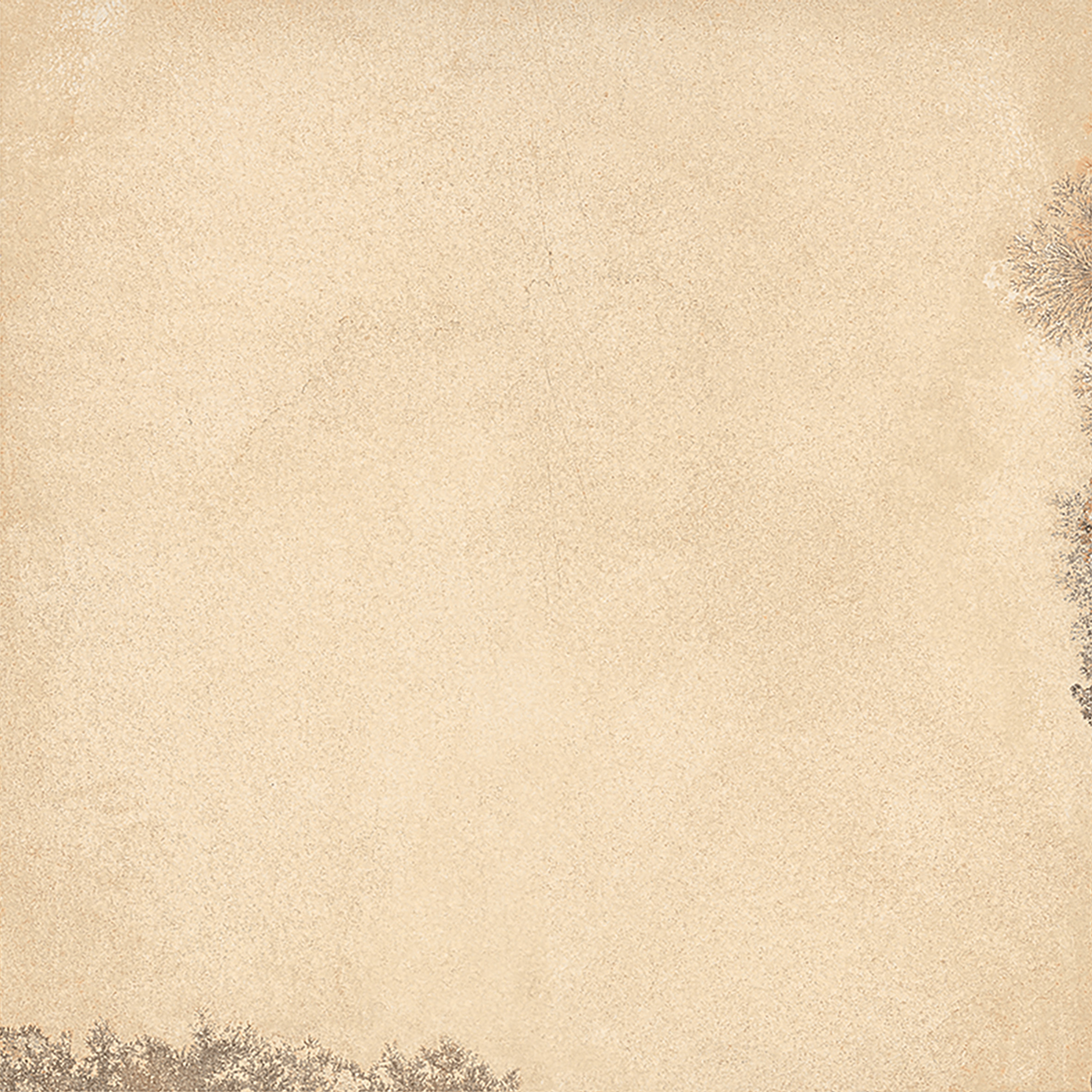 Solnhofen Beige 