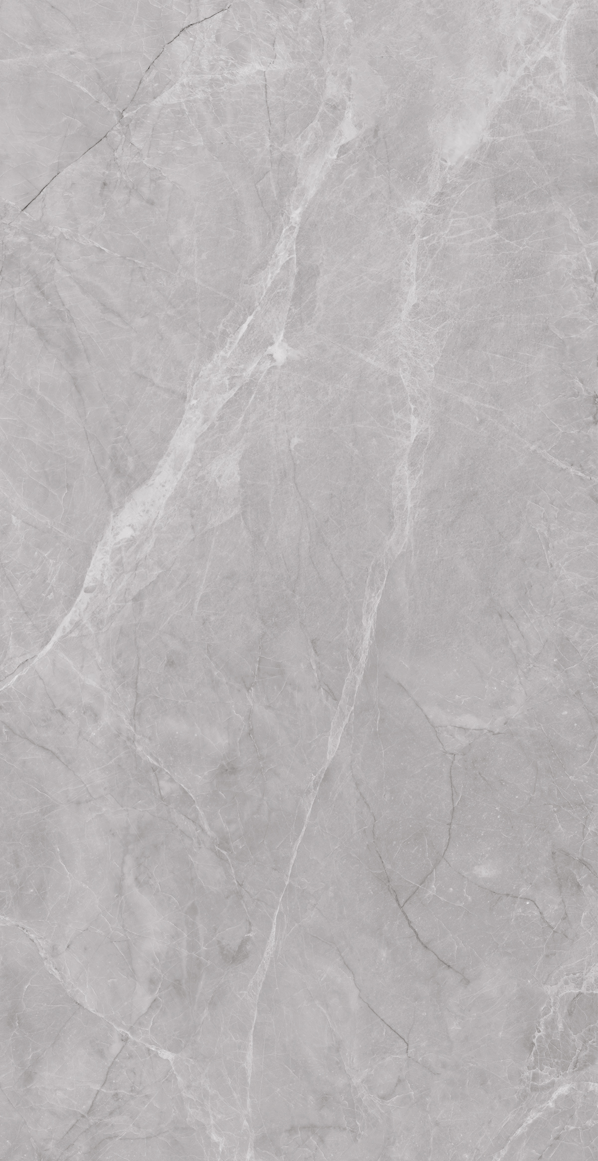 Frenzy Grey 