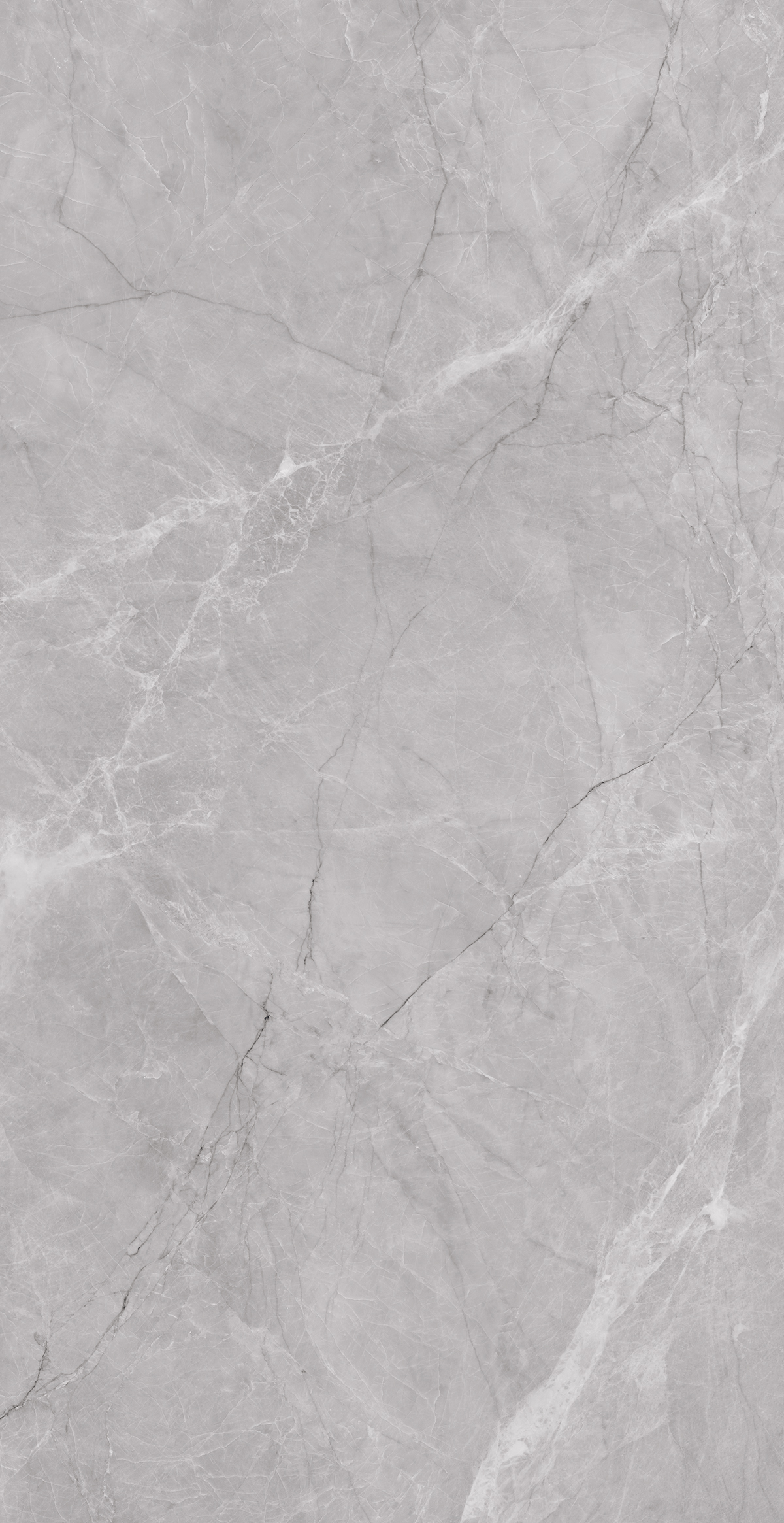Frenzy Grey 