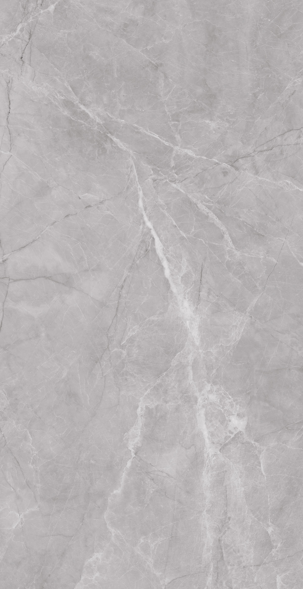 Frenzy Grey 