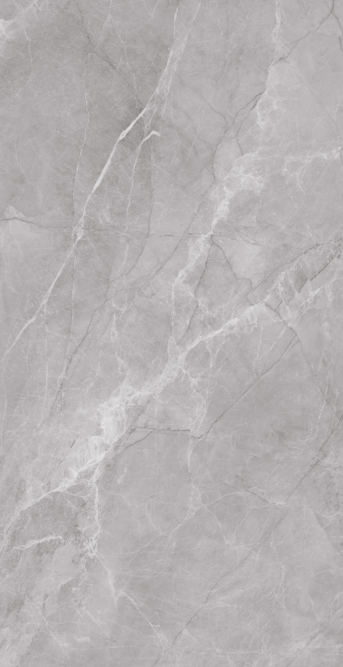Frenzy Grey 