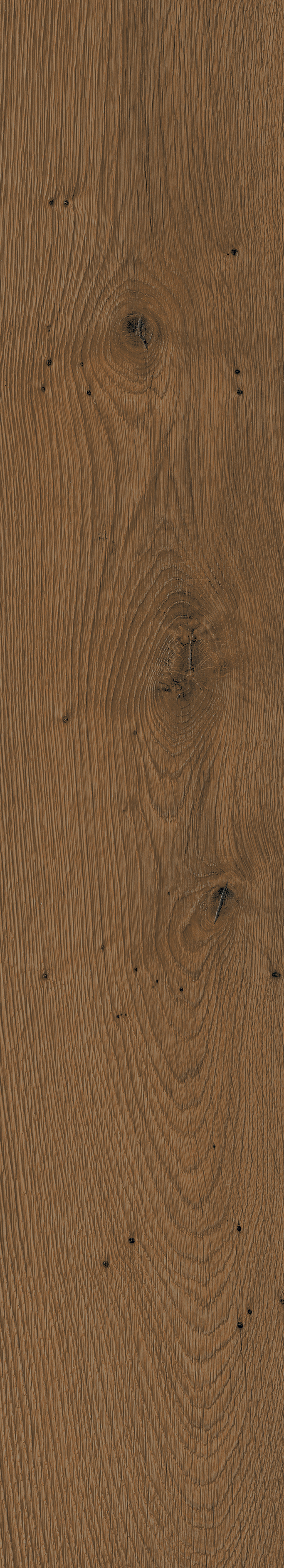 Havana Wenge 