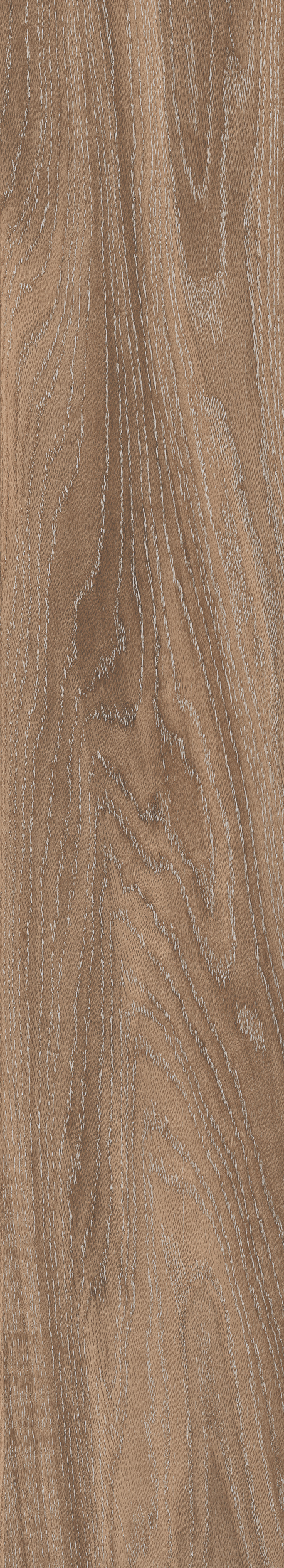 Montreal Walnut 