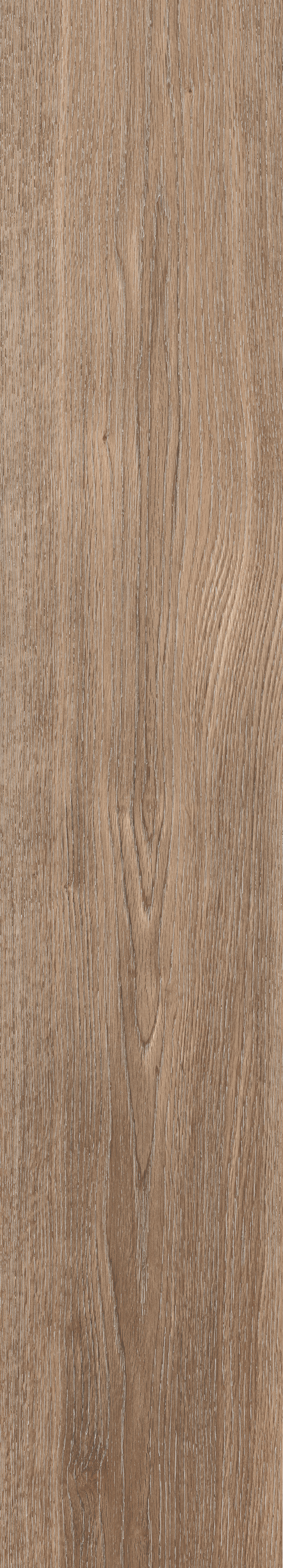 Montreal Walnut 