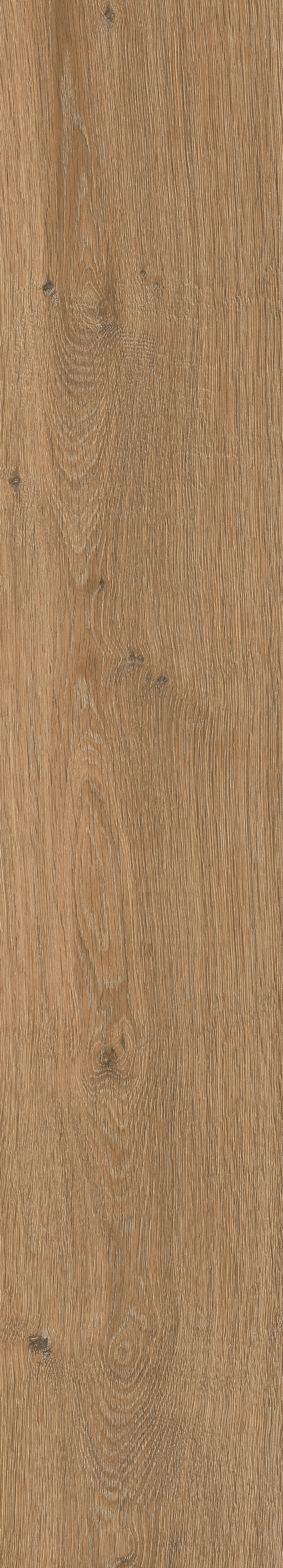 Oxford Brown 