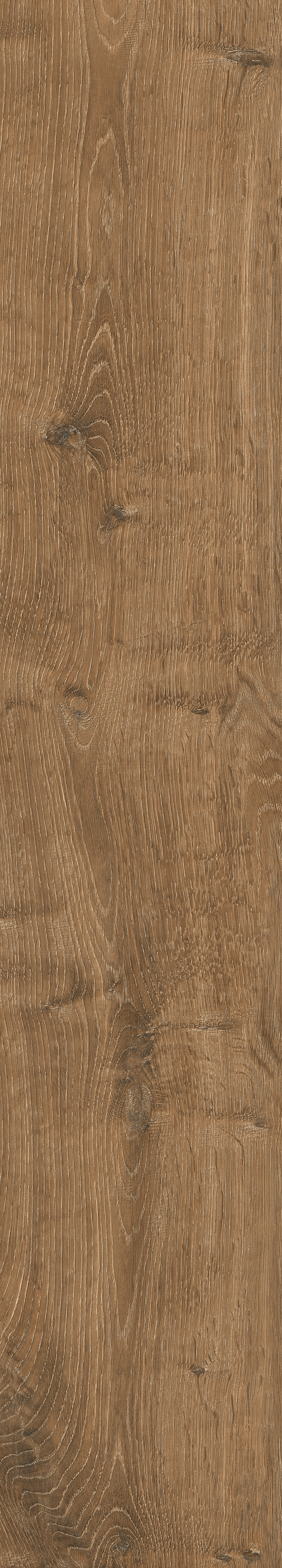 Oxford Brown 