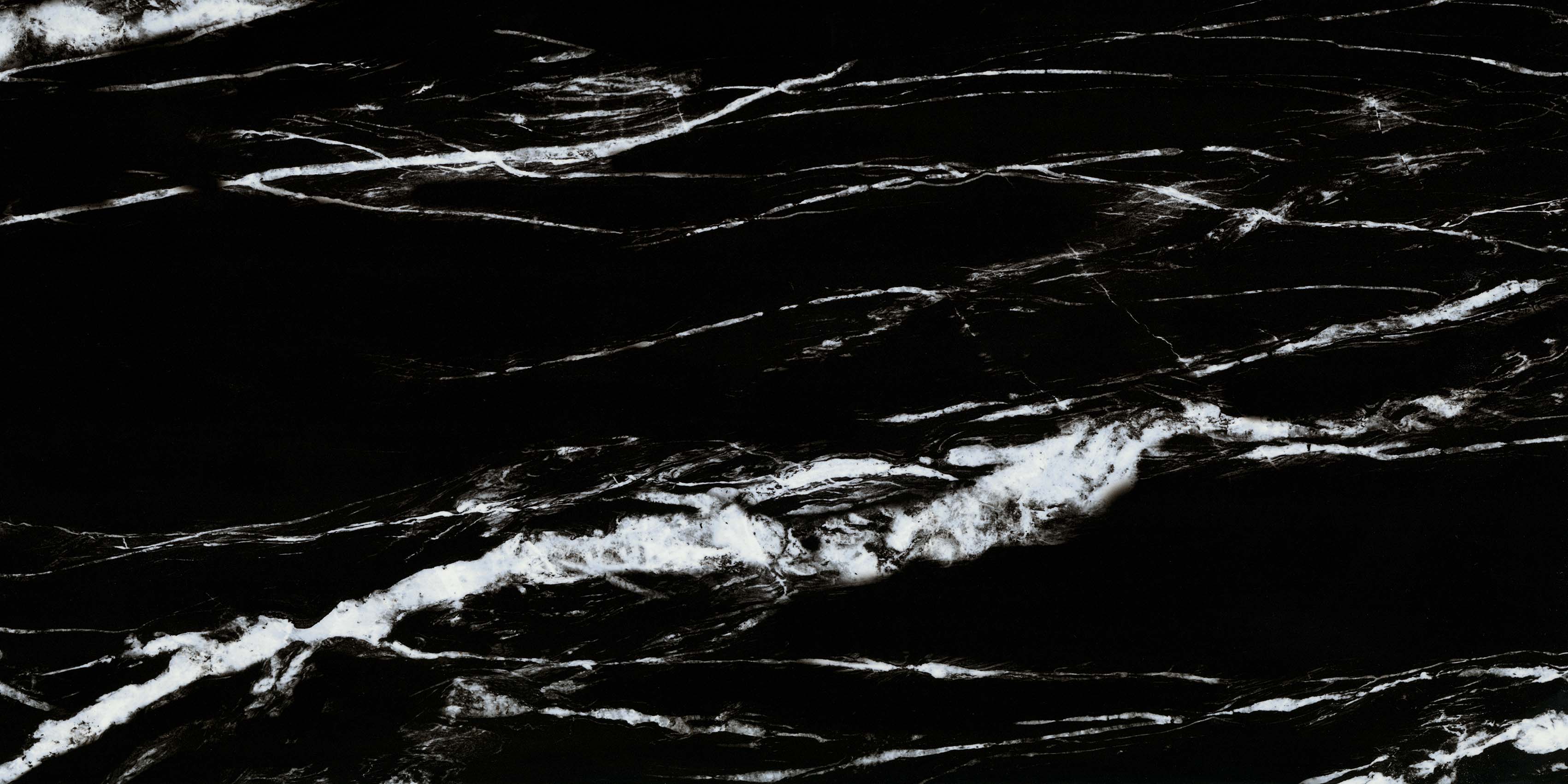 Black Forest 