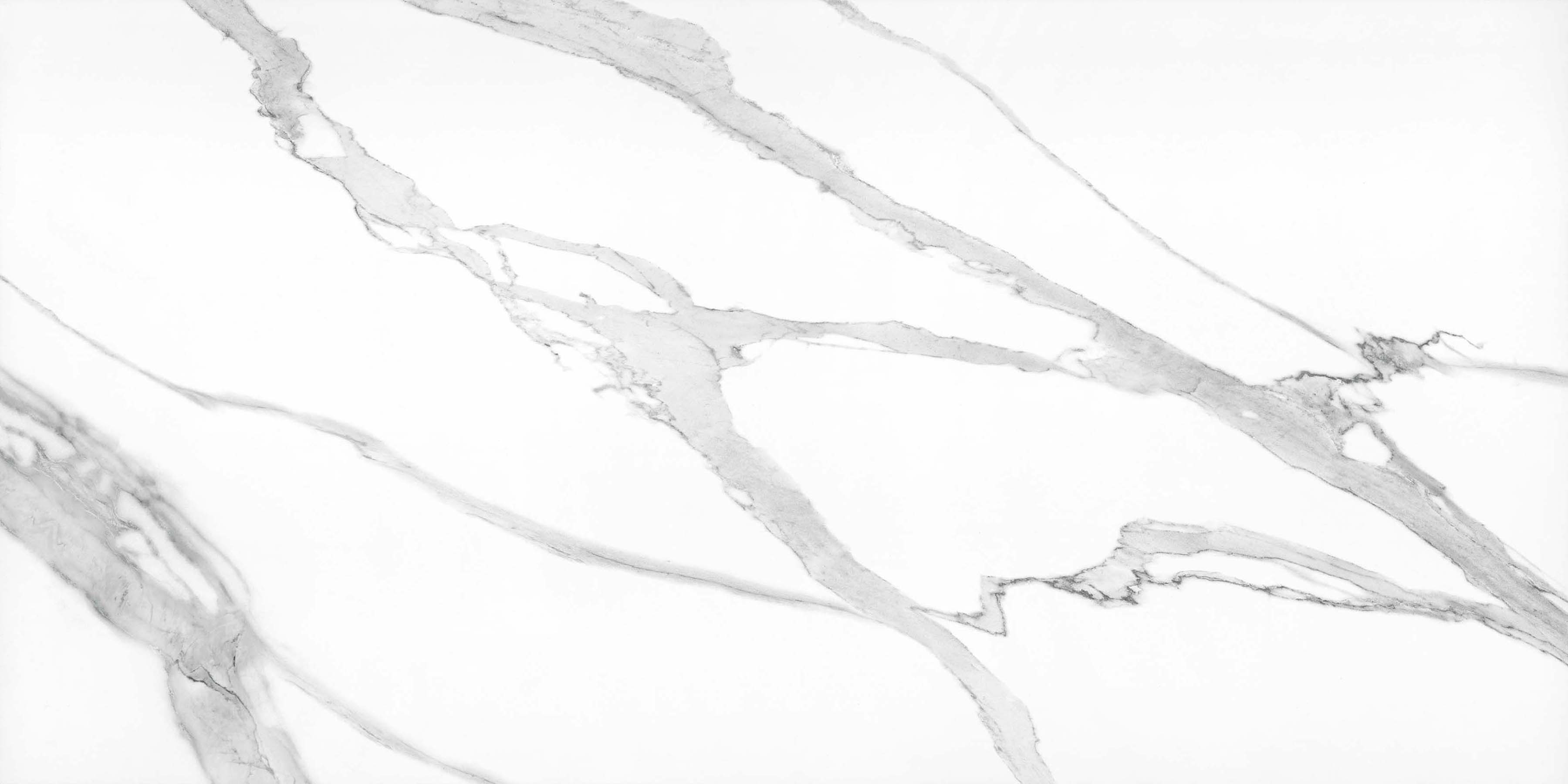Carrara White 