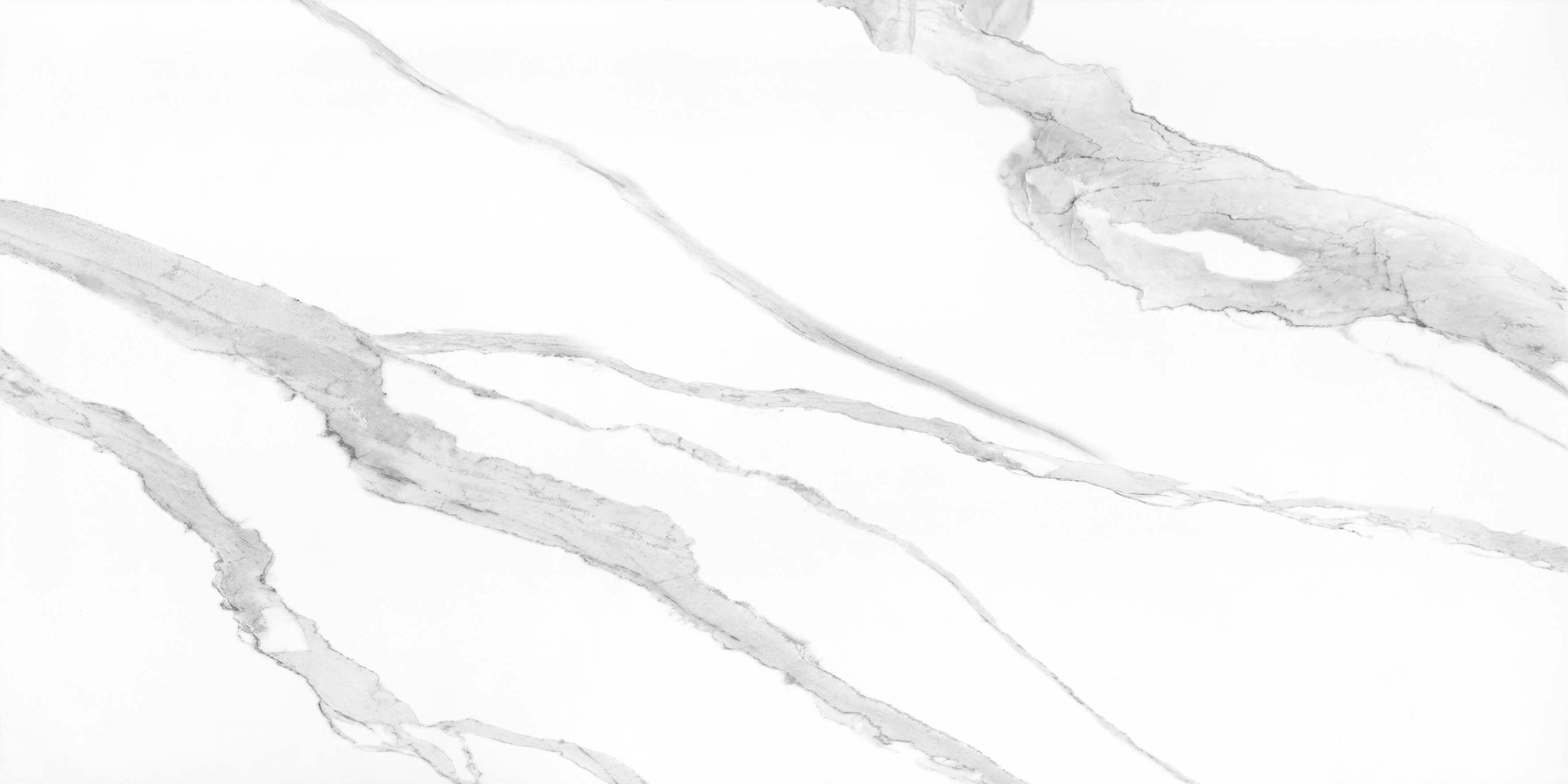 Carrara White 