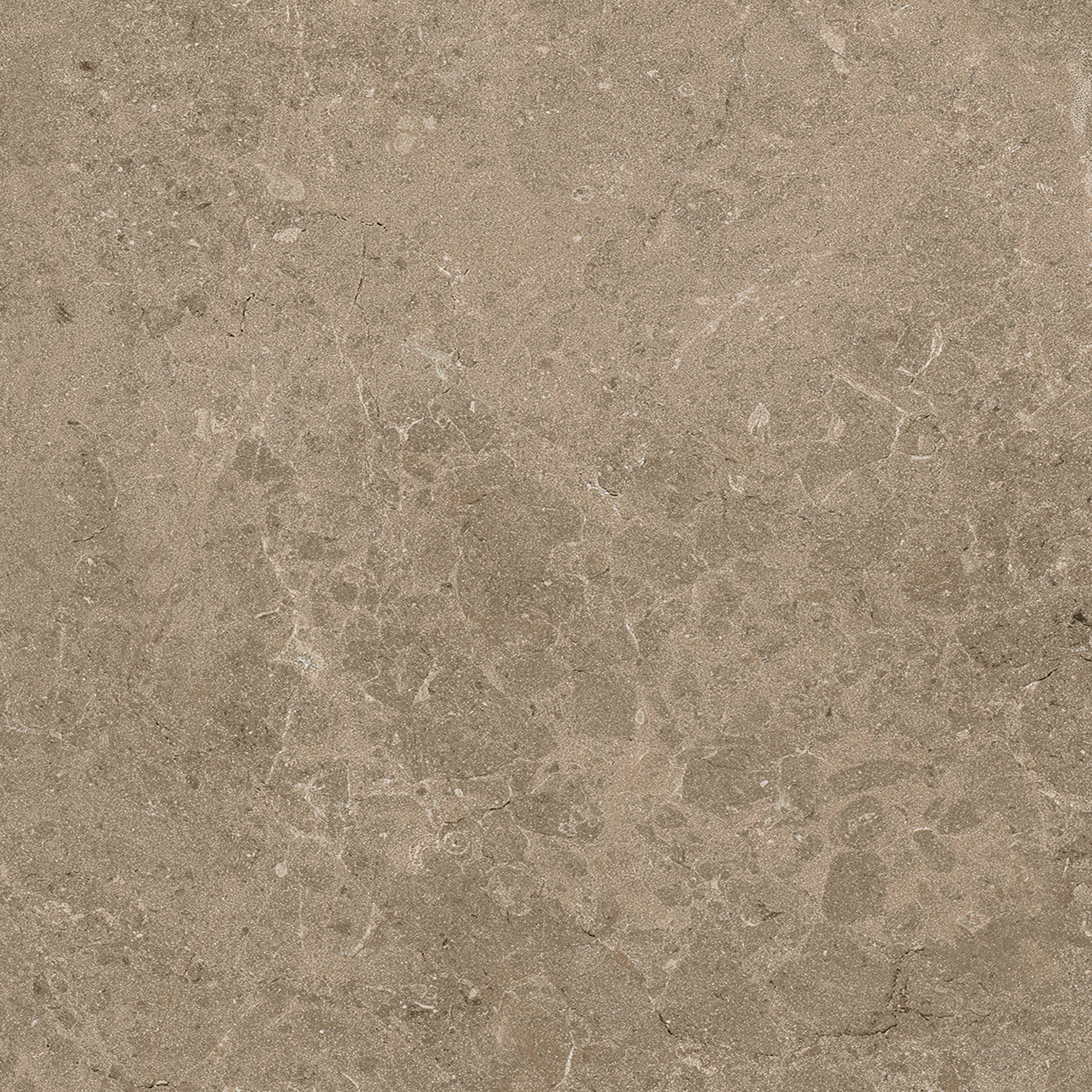 Botticino Taupe 