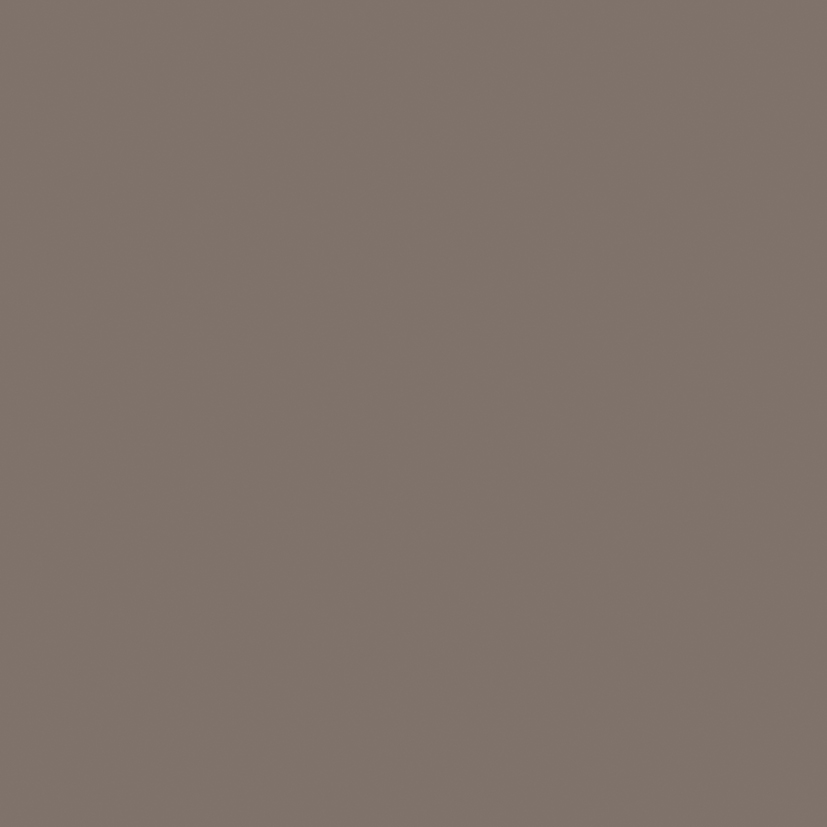 Nios Copper 