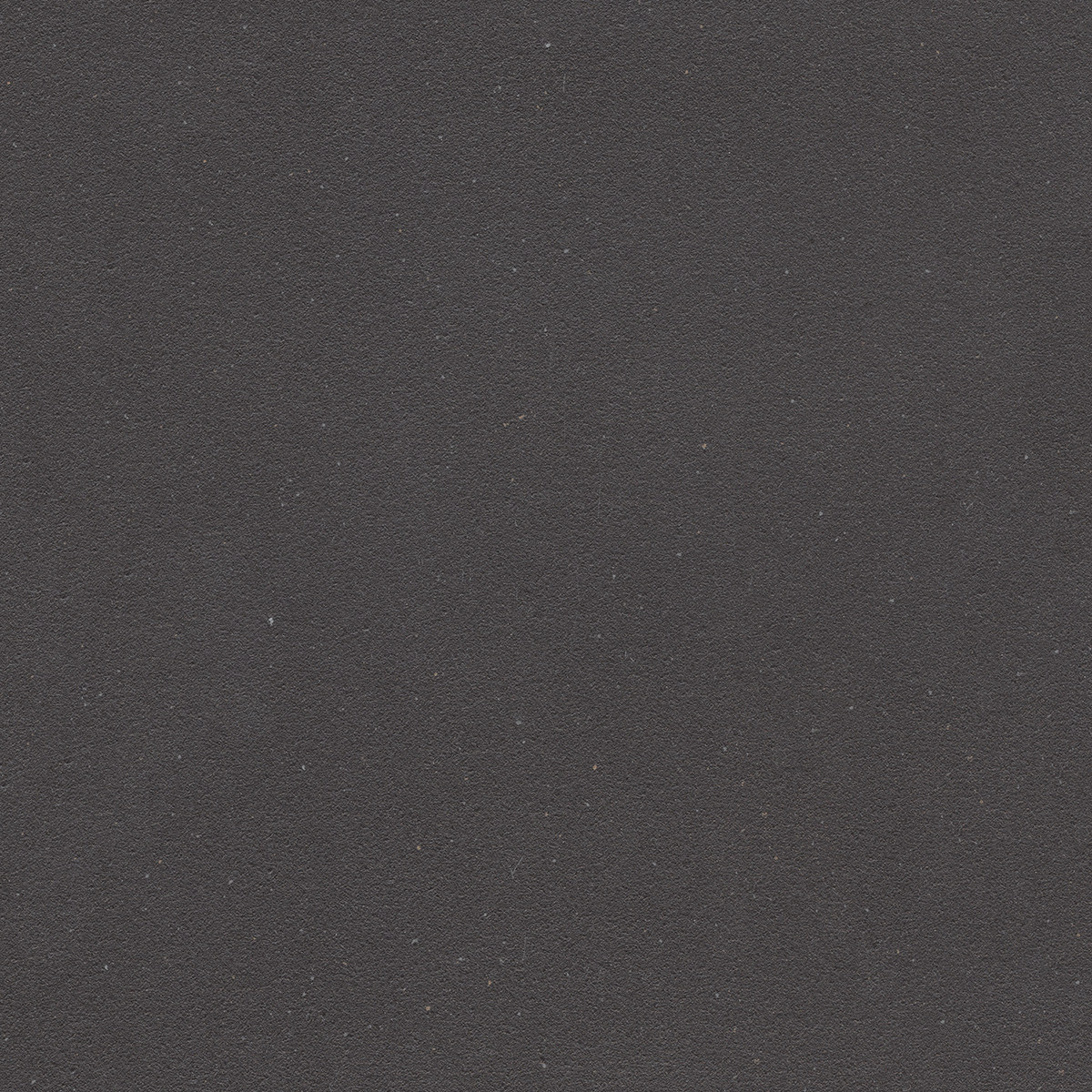 Toro Nero 