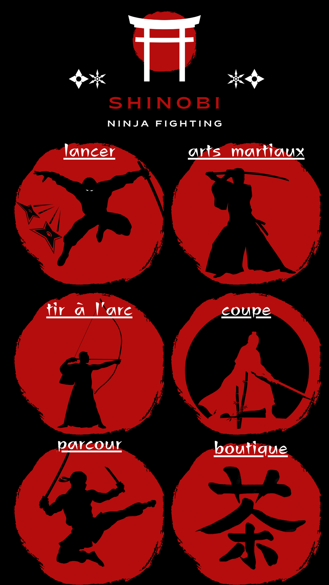 Shinobi ninja fighting