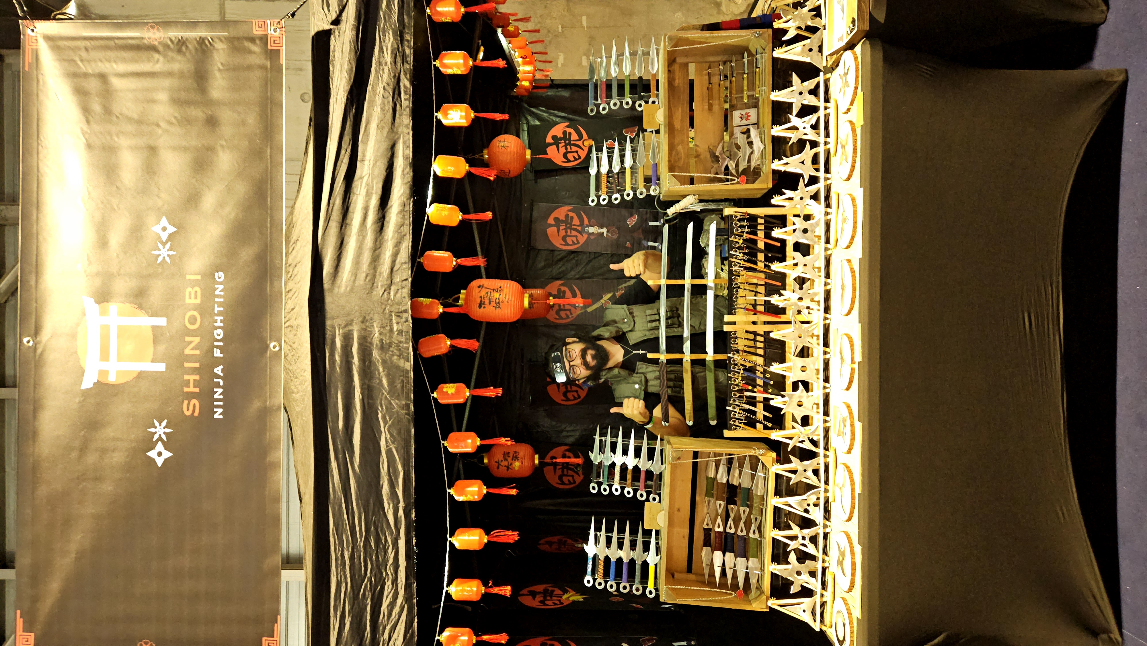 Shinobi ninja fighting