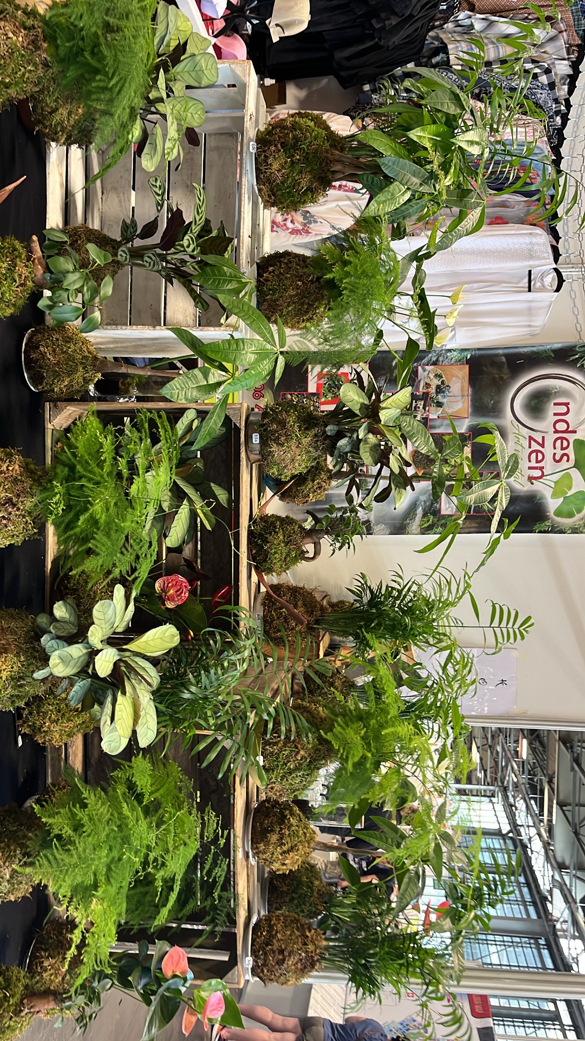 ONDES ZEN ART VÉGÉTAL