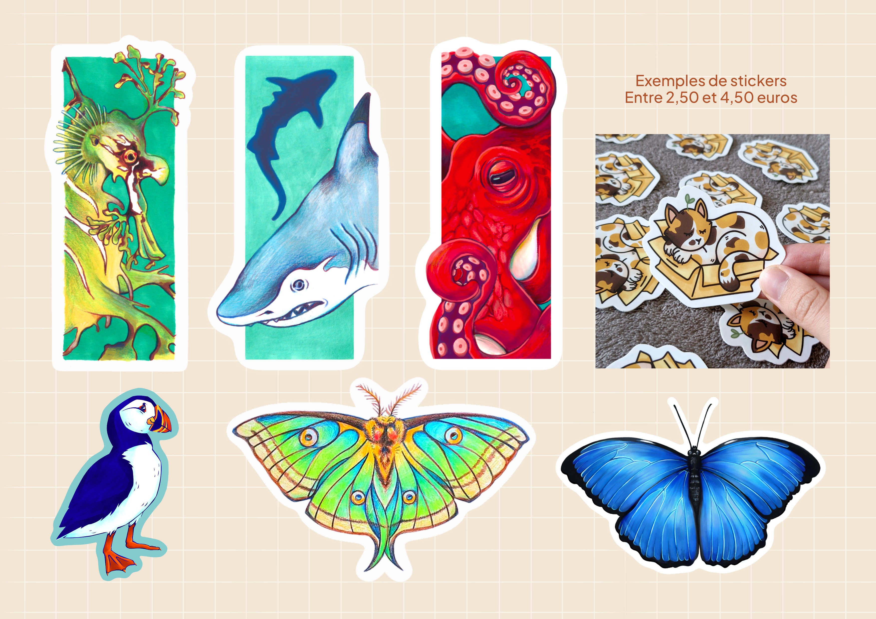 Céline Louis-Clyiss