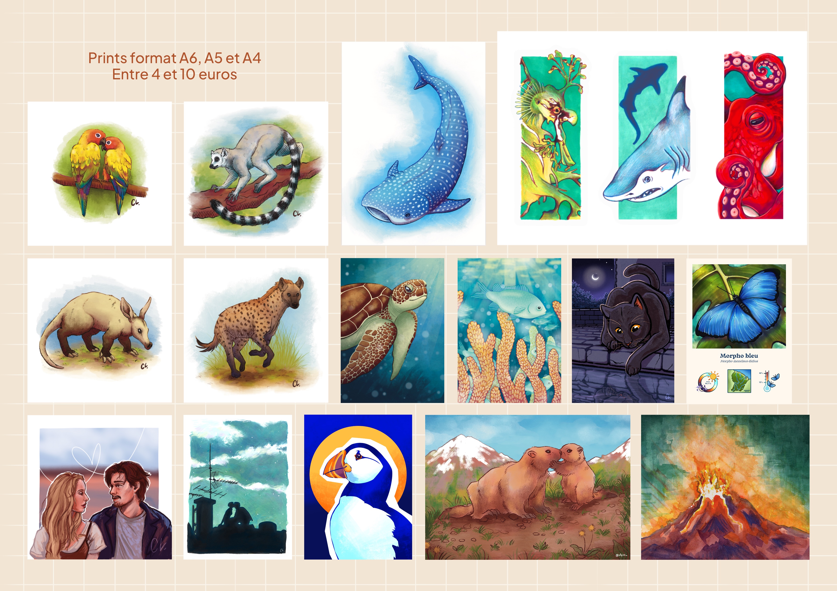 Céline Louis-Clyiss